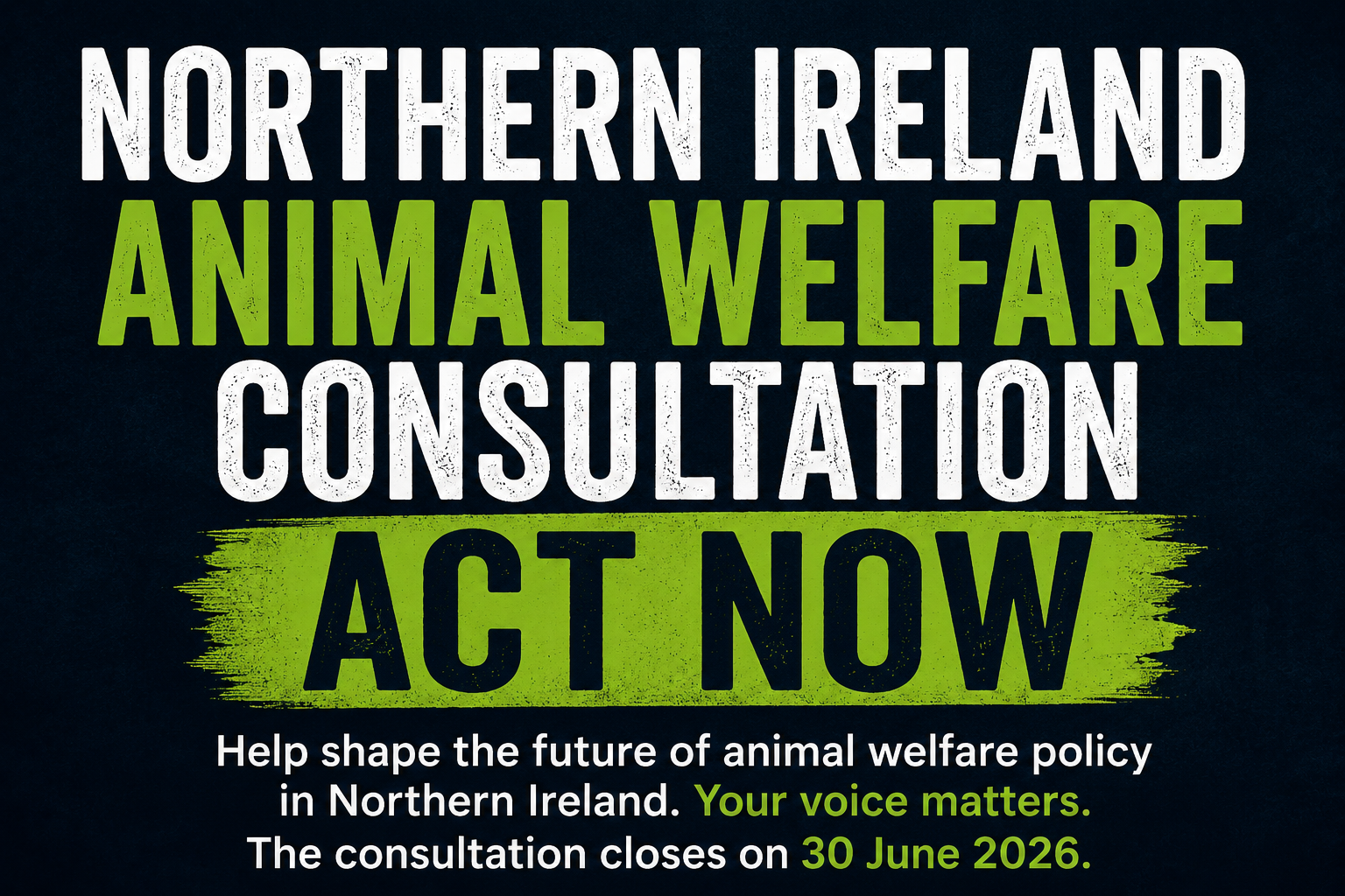 Northern Ireland Animal Welfare Consultation - ACT NOW