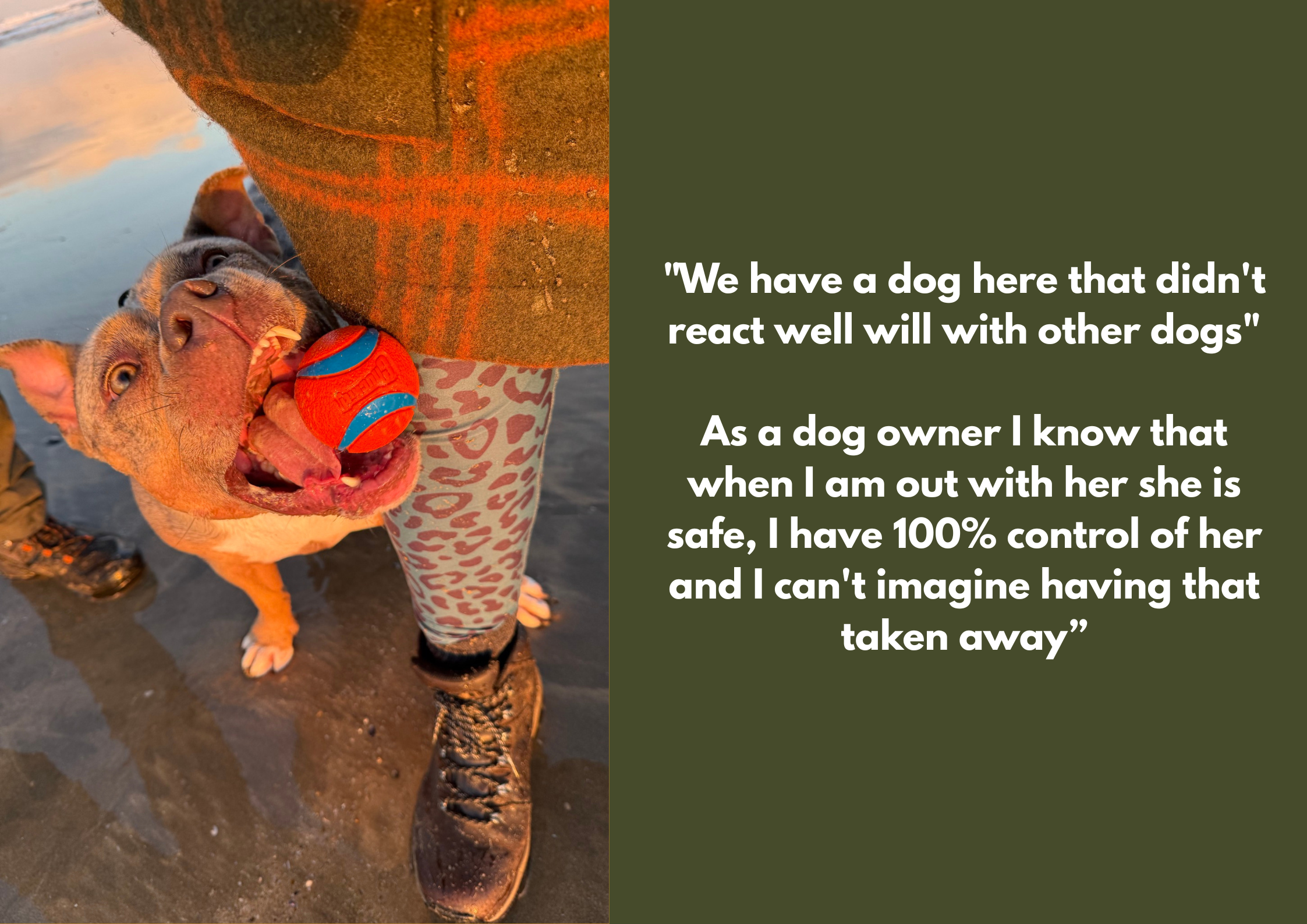 A happy dog holding a red and blue ball in its mouth, standing next to a person wearing camouflage pants and black boots on a beach or lakeside with water in the background.