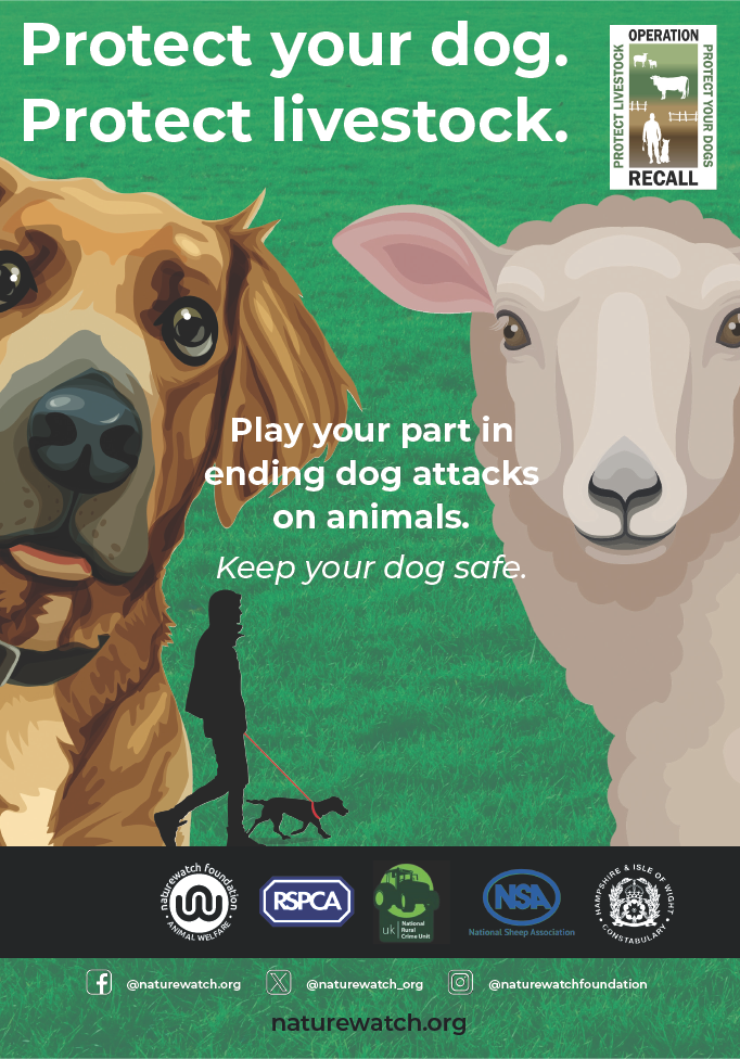 Protect your dog. Protect livestock. Poor recall and uncontrolled dogs put animals, owners, and livelihoods at risk. Responsible training prevents tragedy before it happens.