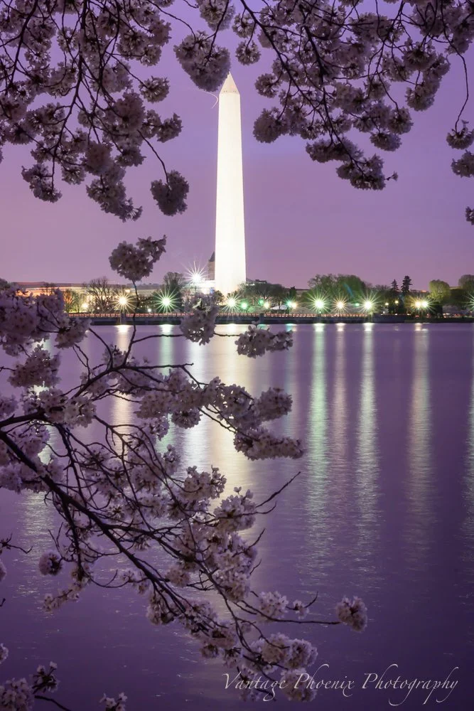 Monument at Dawn