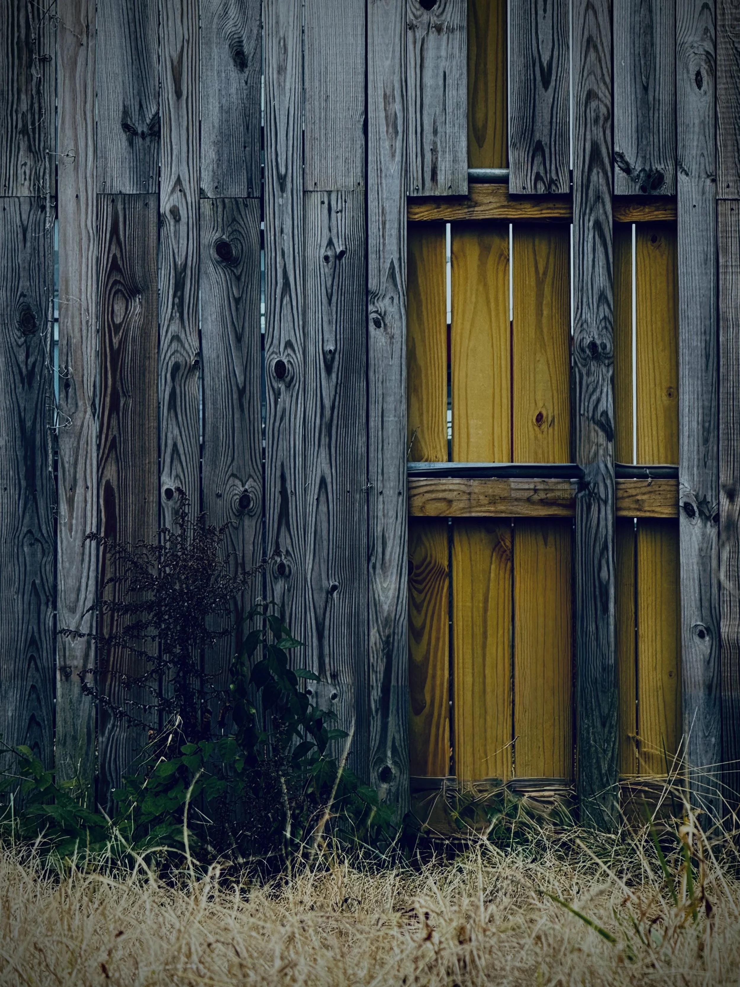 Weathered Door