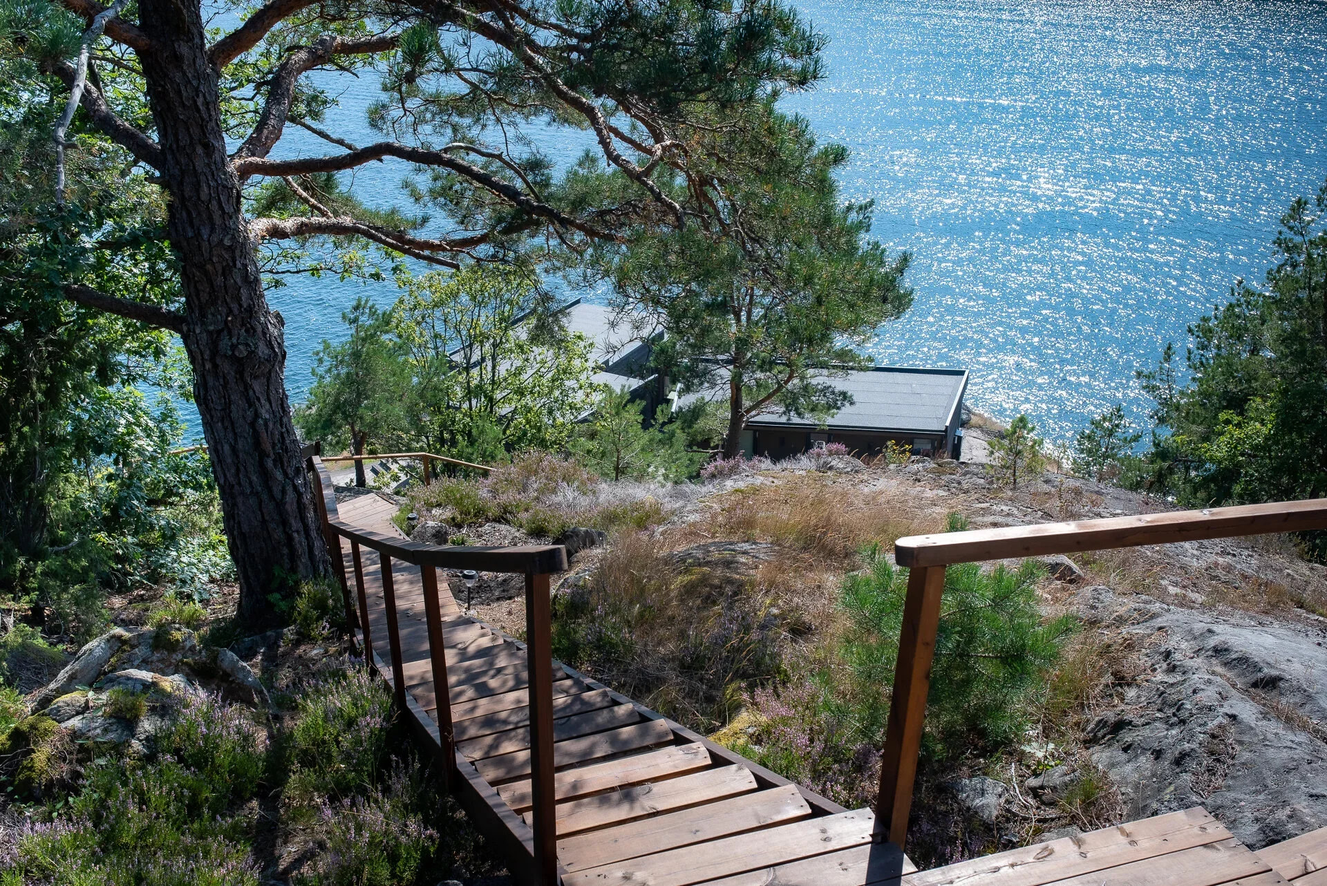 Epleviktangen - Tvedestrand