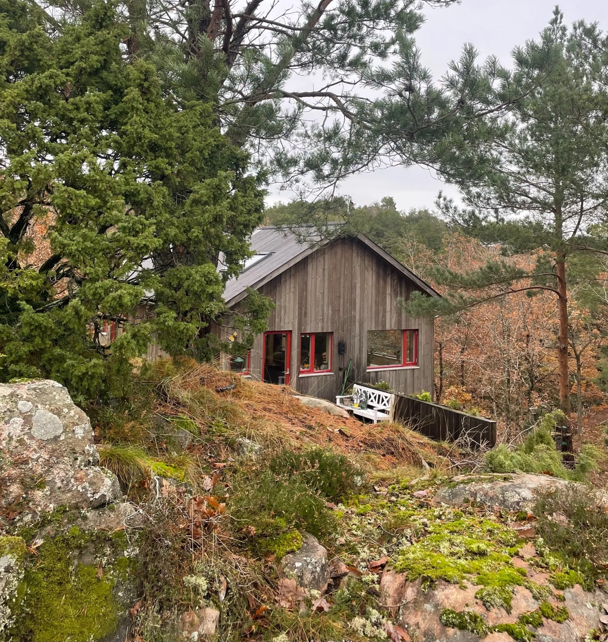 Feltet - Vestre Sandøya