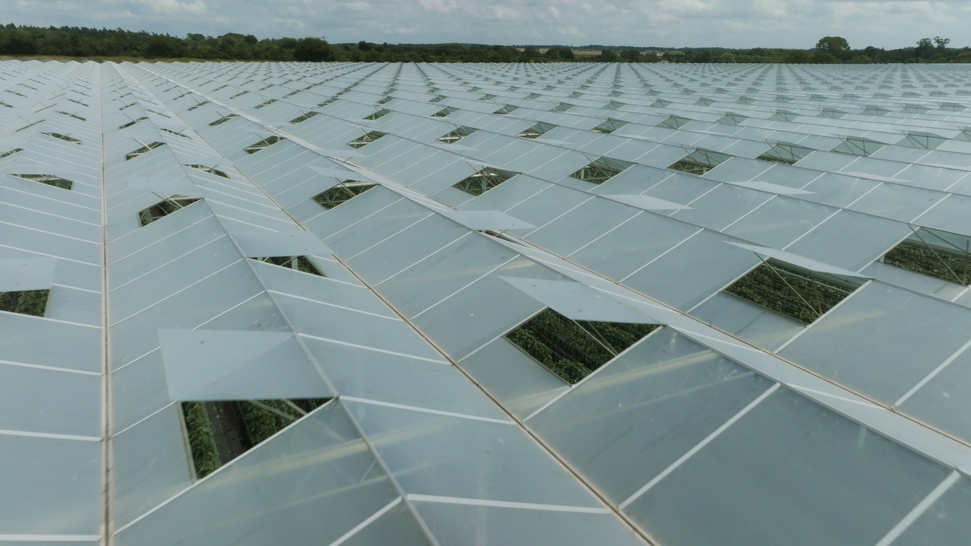 Still 2026-01-06 125558_1.7.1.jpg