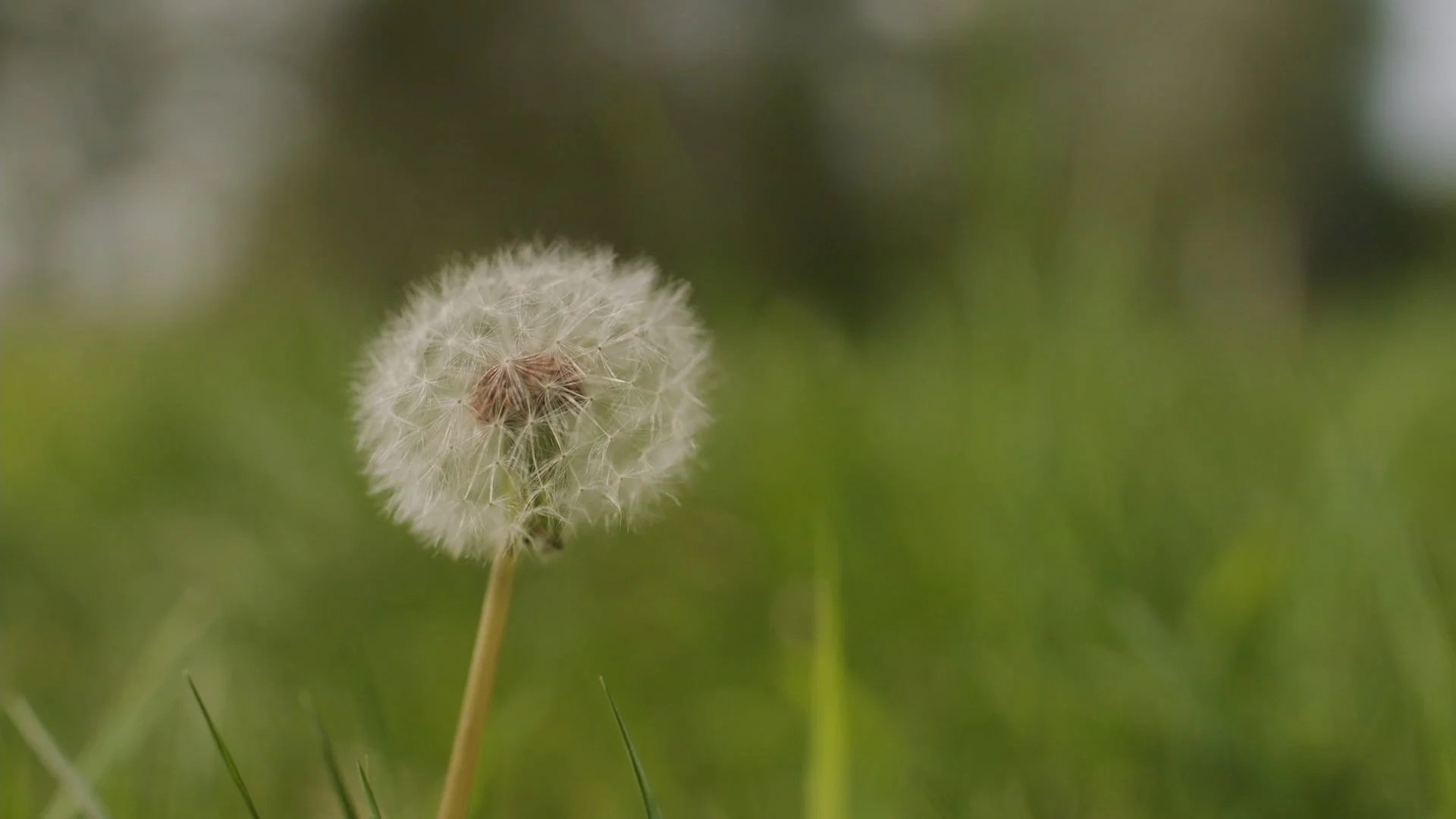 Still 2026-01-06 125558_1.28.1.jpg