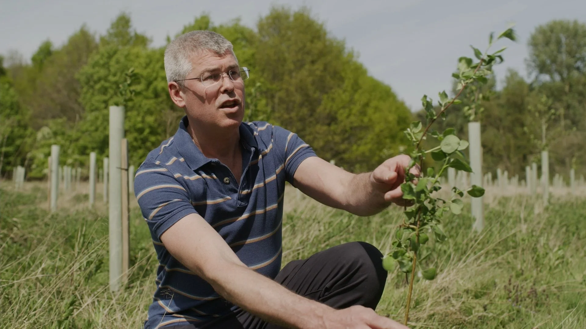 Still 2026-01-06 125558_1.30.1.jpg