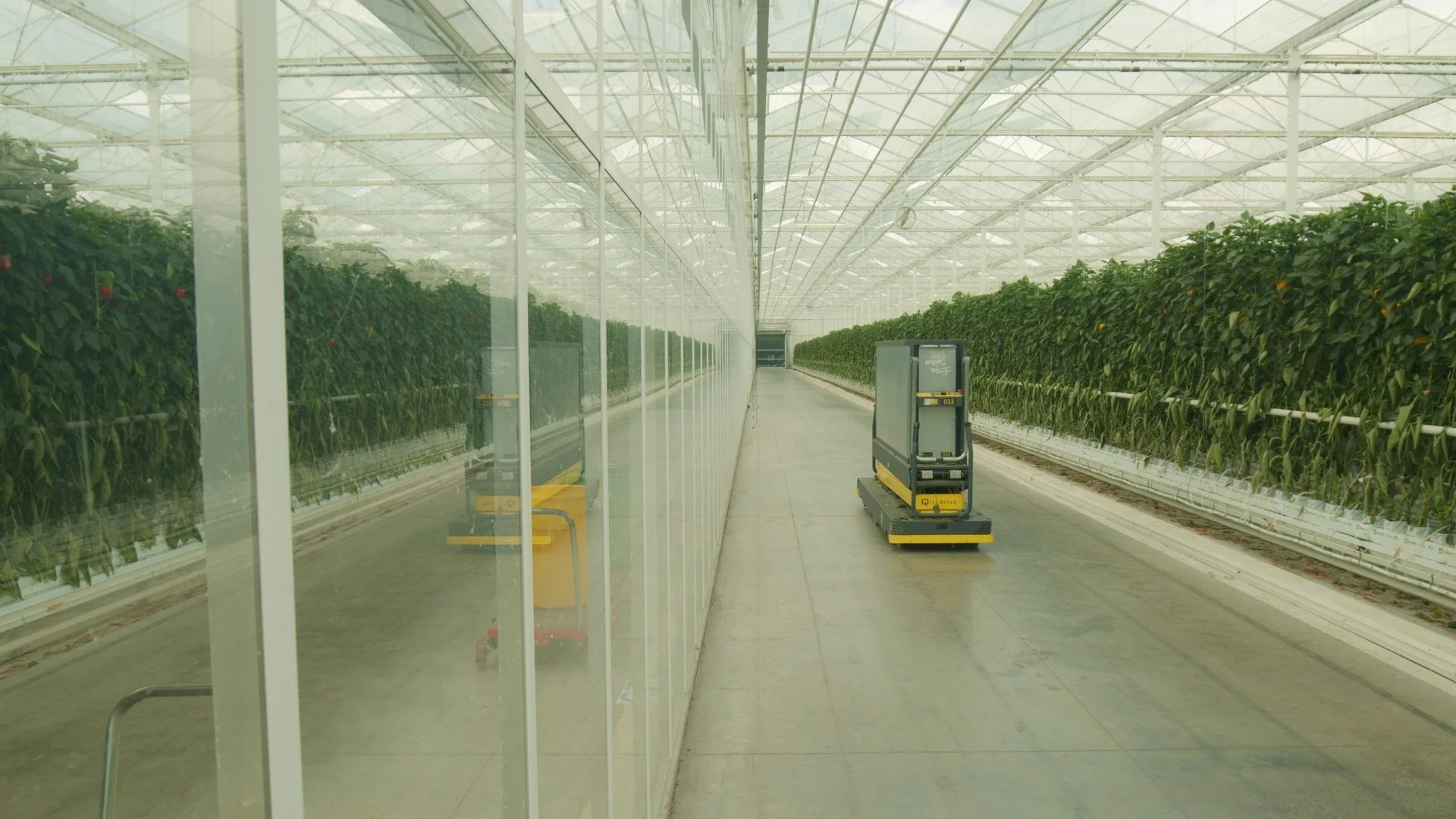 Still 2026-01-06 125558_1.8.1.jpg