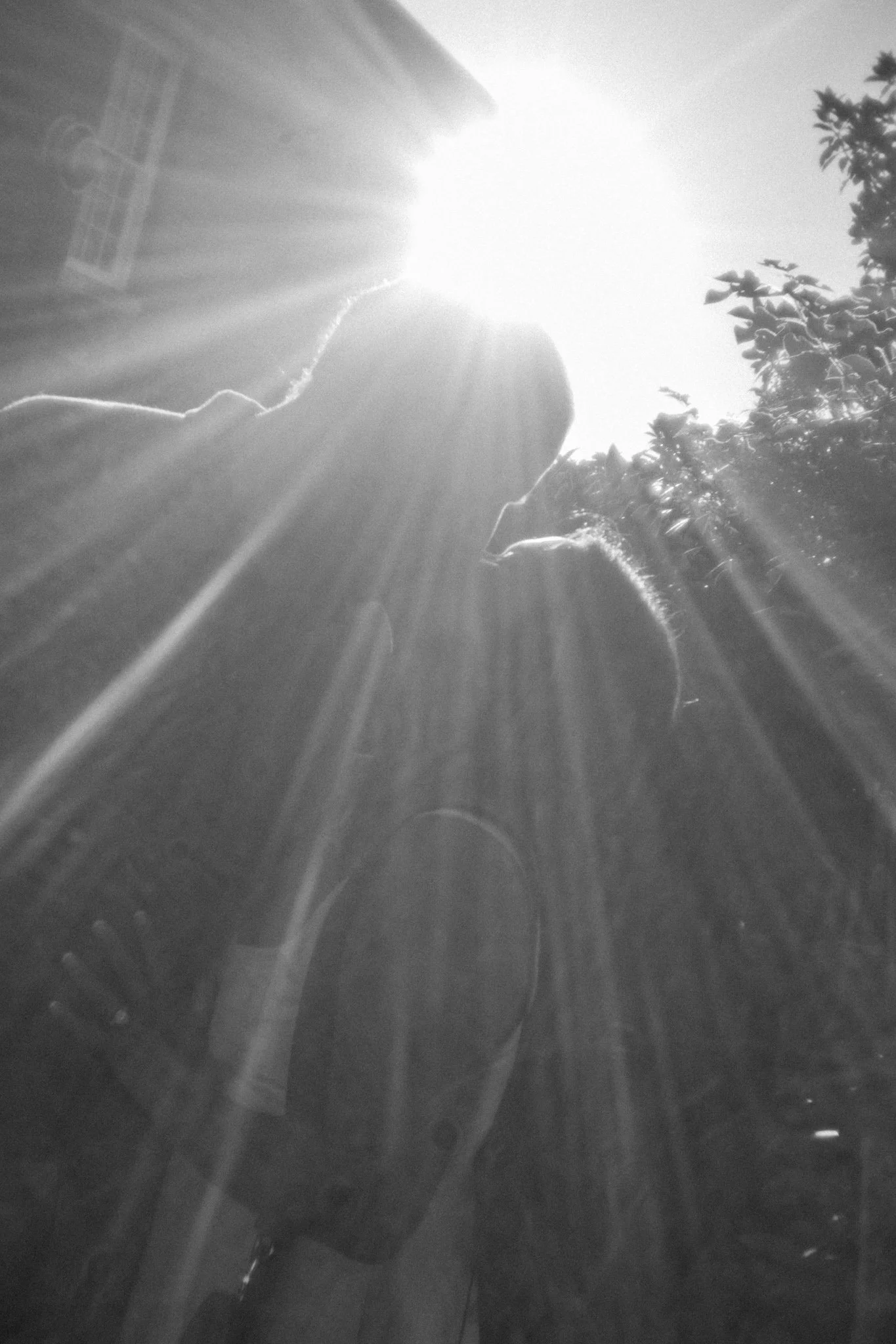 Silhouettes of two children looking at sunlight with sun rays and trees in the background.