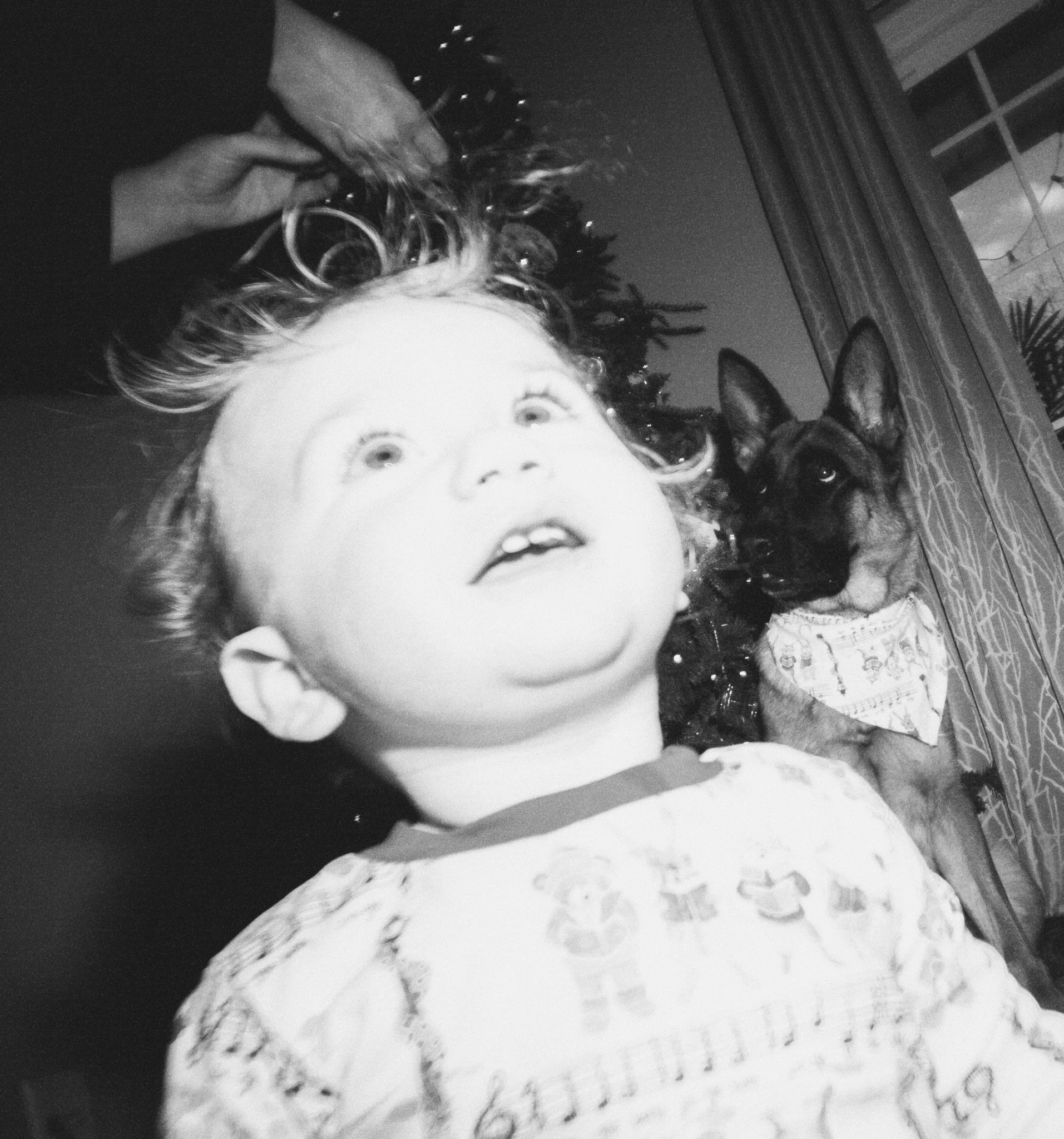 A young child with light hair and a surprised expression, a woman styling their hair, and a dog with a bandana sitting beside a window with curtains and a Christmas tree in the background.