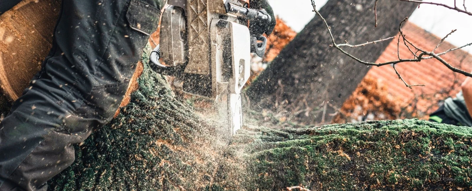 Person cutting a large tree trunk with a chainsaw in an outdoor setting, with sawdust flying and branches nearby.