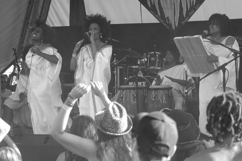 Island Vibe 2013166.jpg