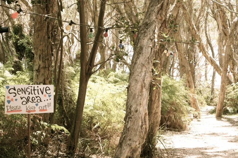 Island Vibe 2013039.jpg