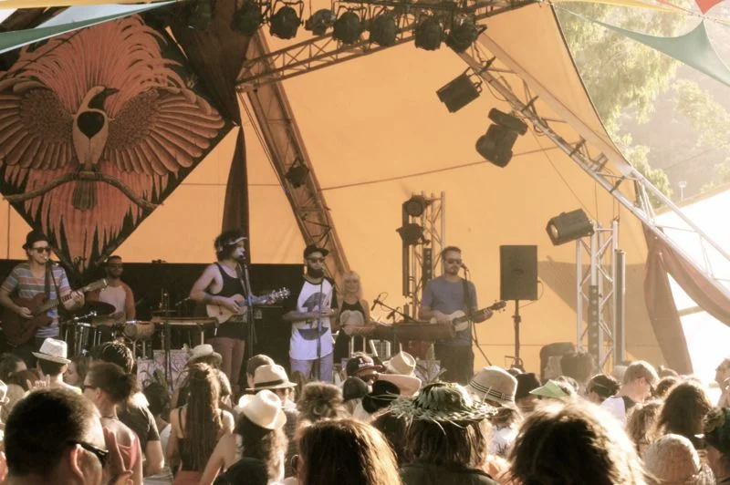 Island Vibe 2013098.jpg