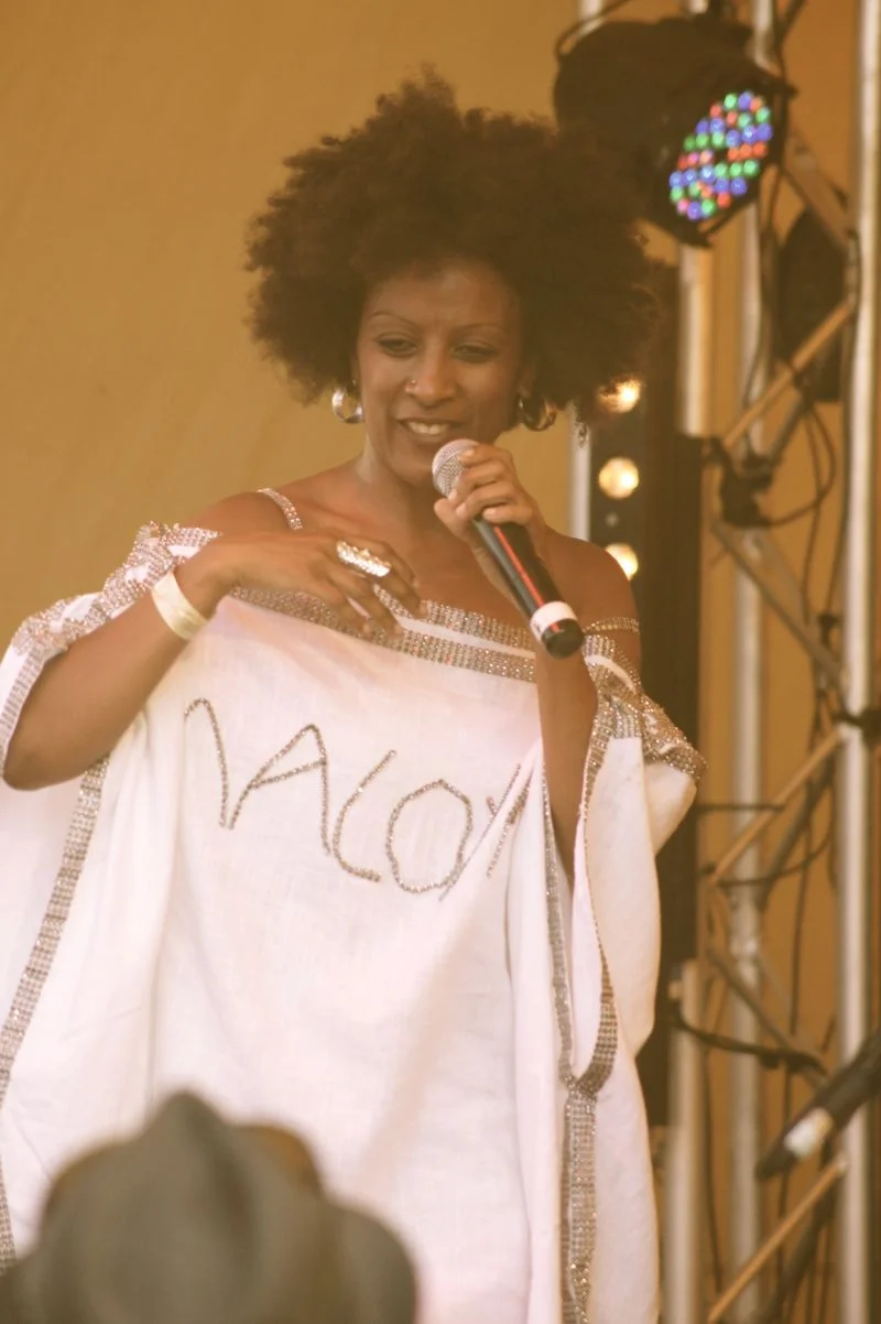 Island Vibe 2013164.jpg