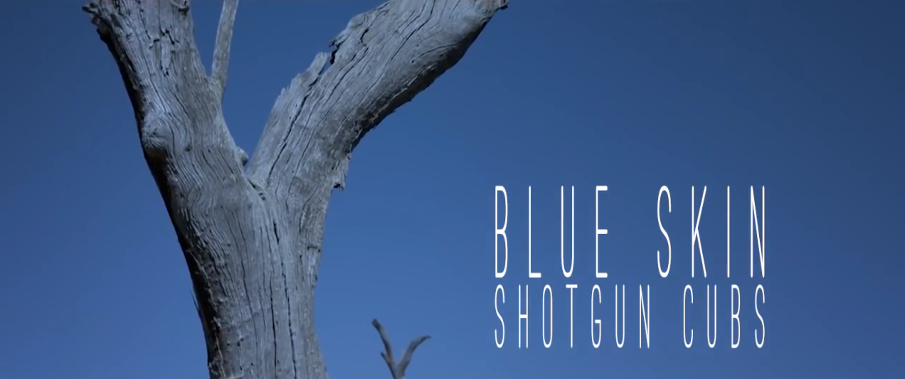 Screen Shot 2014-05-28 at 5.58.16 pm.png