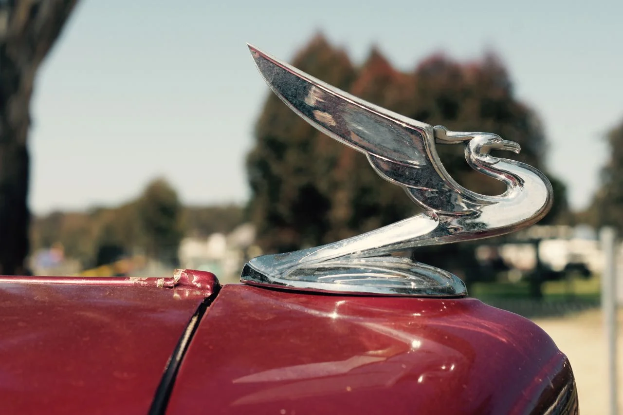 SZN Blog - Chopped - 5 Oct 2015  - 20.jpg