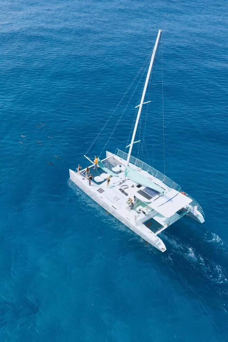 Un catamaran blanc naviguant sur une mer bleue, avec des personnes à bord et des oiseaux flottant à proximité. C'est à l'île Maurice.