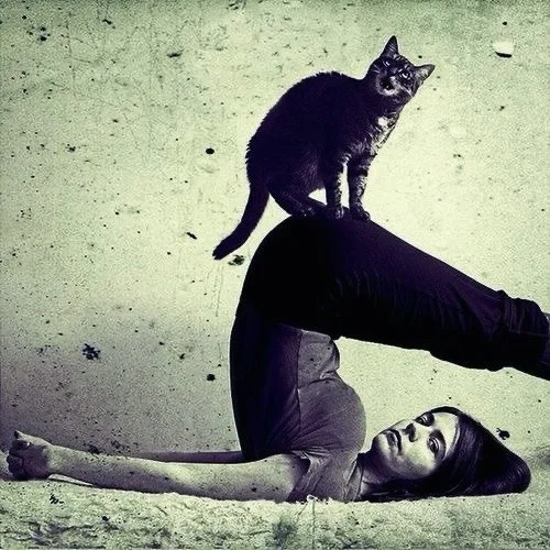 Next Saturday 14th February ❤️ I am teaching a 75 minute class &amp; a workshop:

The workshop details are below:

Dynamic Vinyasa: Study &amp; Application
Seated Postures &amp; Twists

14th February &mdash; 12.00pm&ndash;2.00pm

This workshop is for