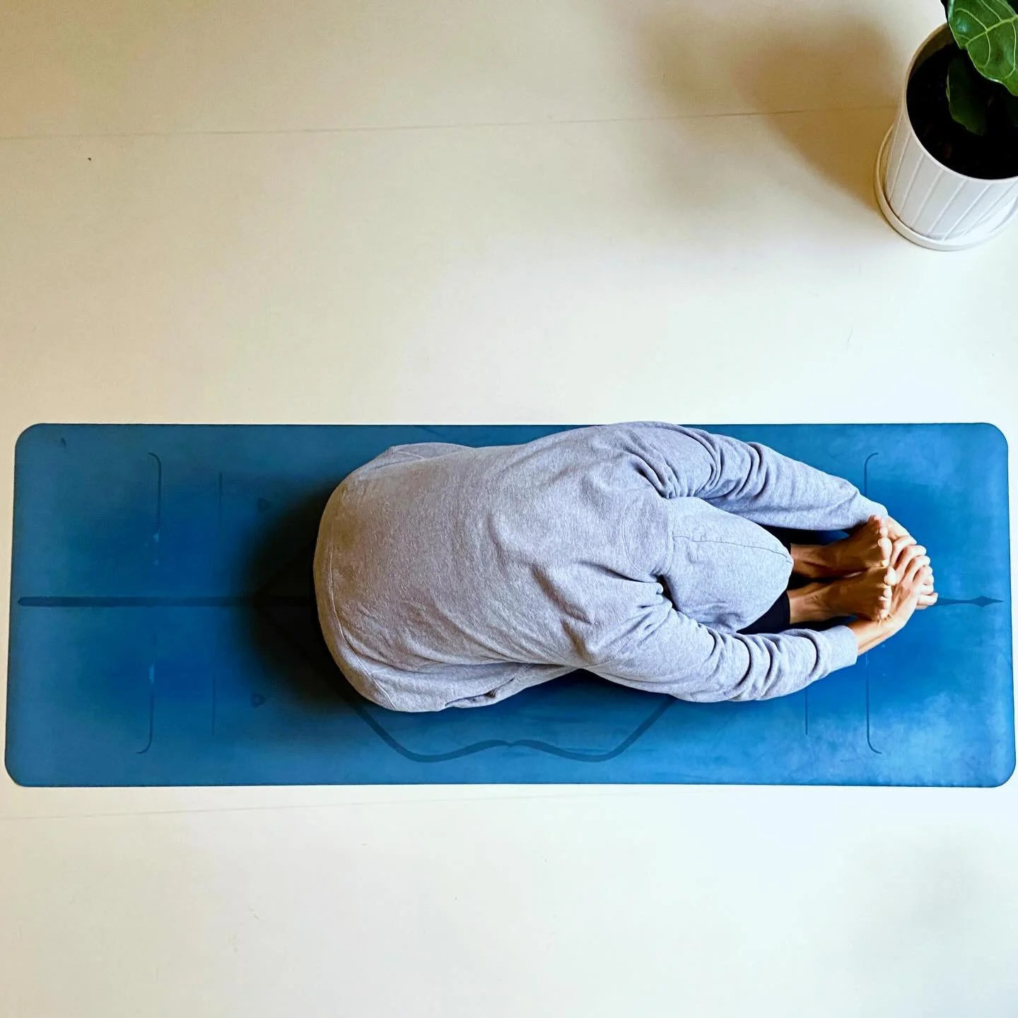 If you are thinking of coming to this Saturday' class, this Saturday's workshop or better still, both, please can you take the time to book a space?

Link is in my bio, or you can directly to my website www.jennymyoga.co.uk

Only if I get enough peop