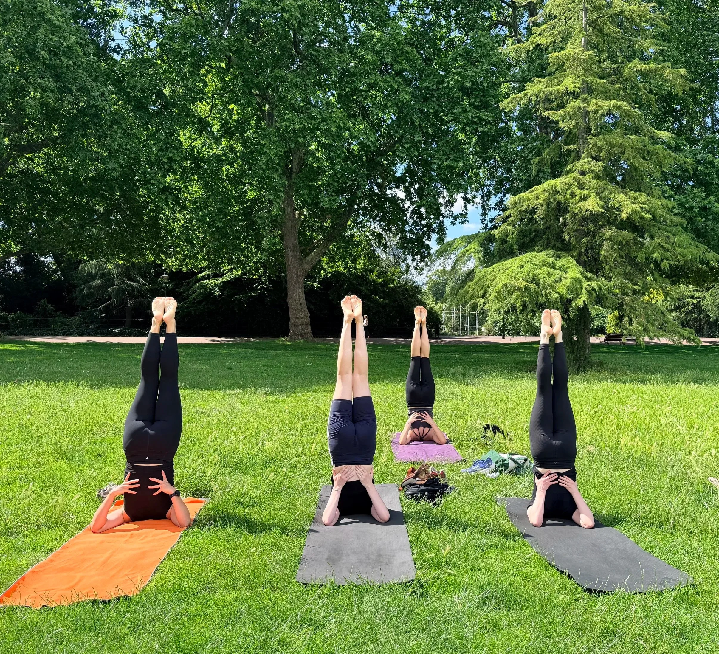 A group of students of Jenny M Yoga practicing yoga outdoors on a grassy field, in shoulder stand, with their legs vertical in the air, facing a large green leafy tree with a blue sky behind it.
