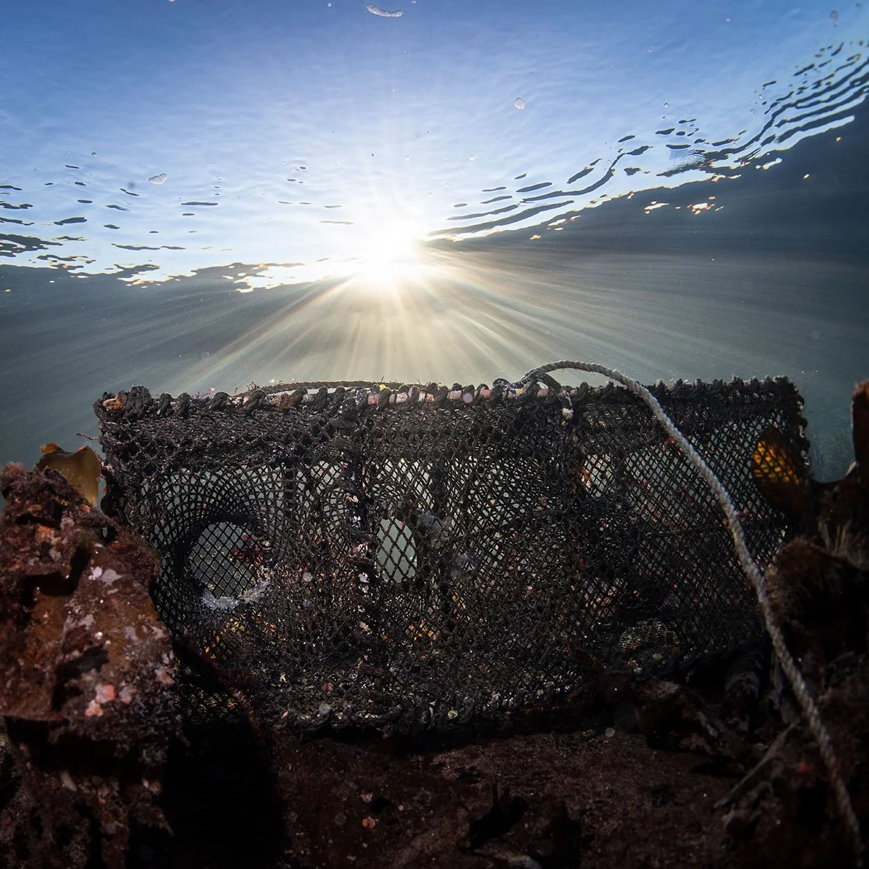 Heving av Tapt Fiskeredskap // Lost Fishing Gear Removal