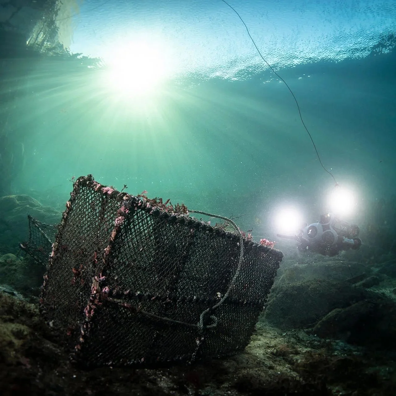 We remove an item of lost fishing gear for you