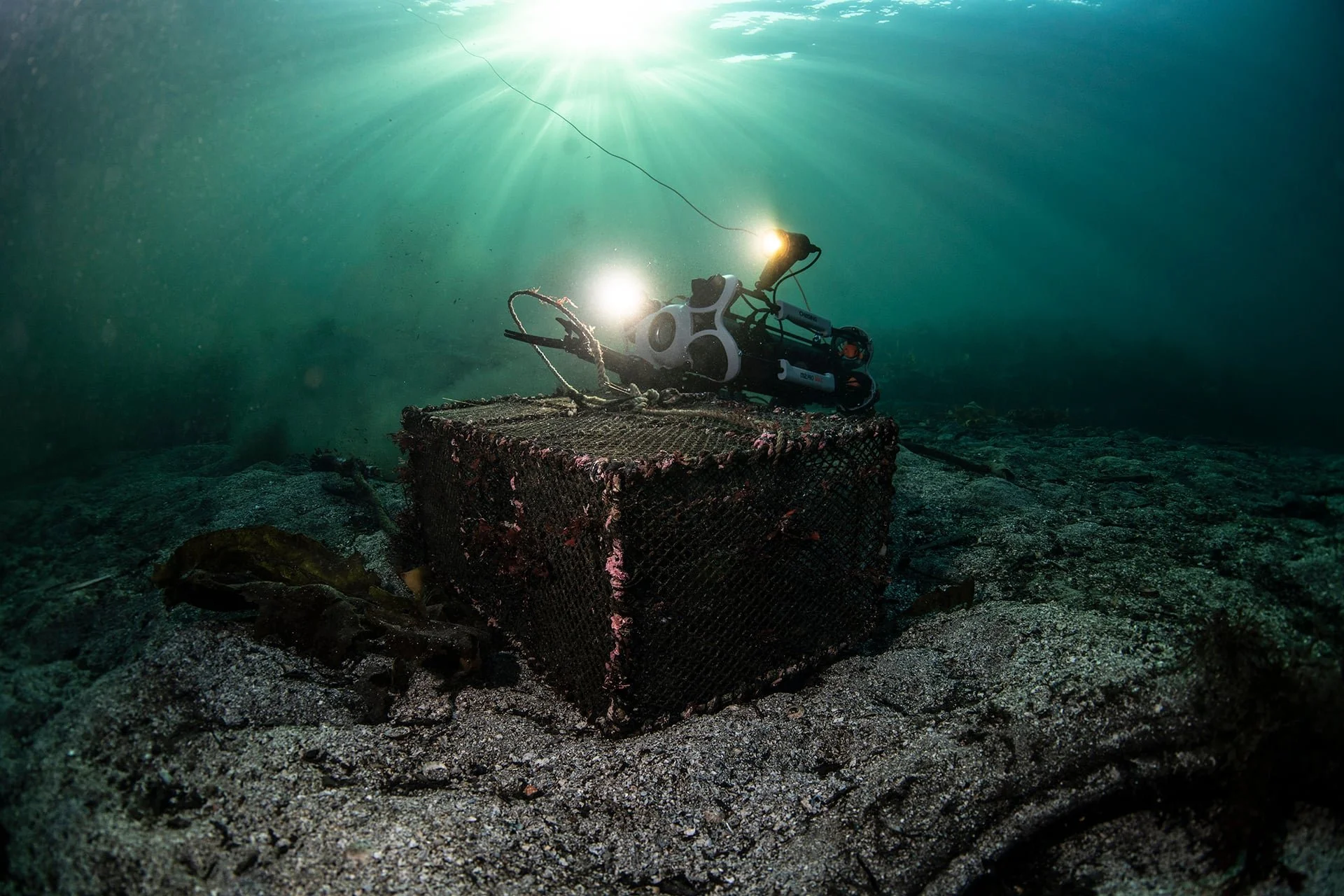 Et undervannsbilde av en ROV som rydder en tapt krabbeteine fra havbunnen. Målet er å redde marint liv. Redskap som dette kalles gjerne spøkelsesfiske. Sollys skinner igjennom vannet ovenfra.