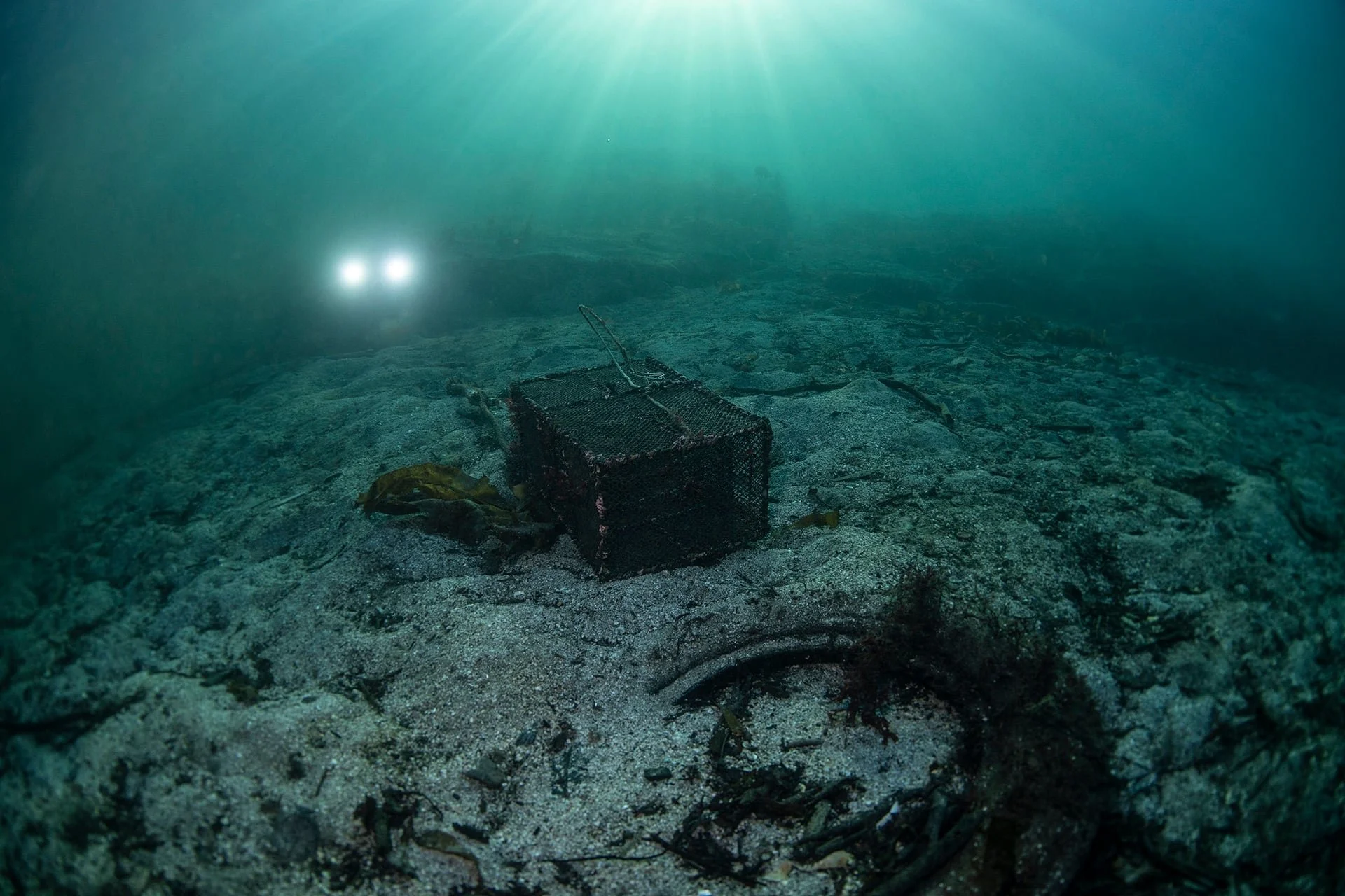 En tapt krabbeteine på havbunnen og ROV i bakgrunnen som har til hensikt å rydde den. God sikt