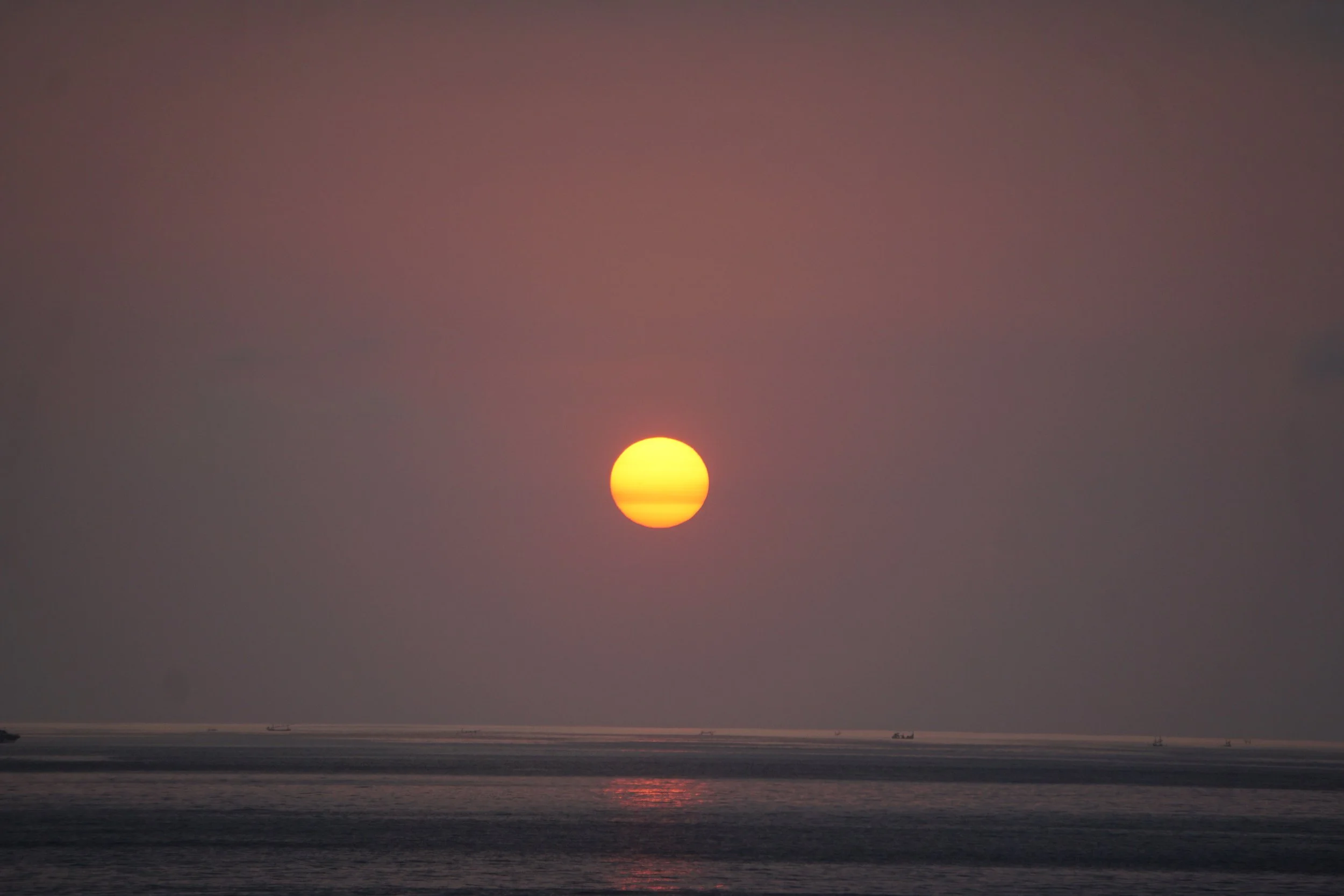 DSC01576.jpeg