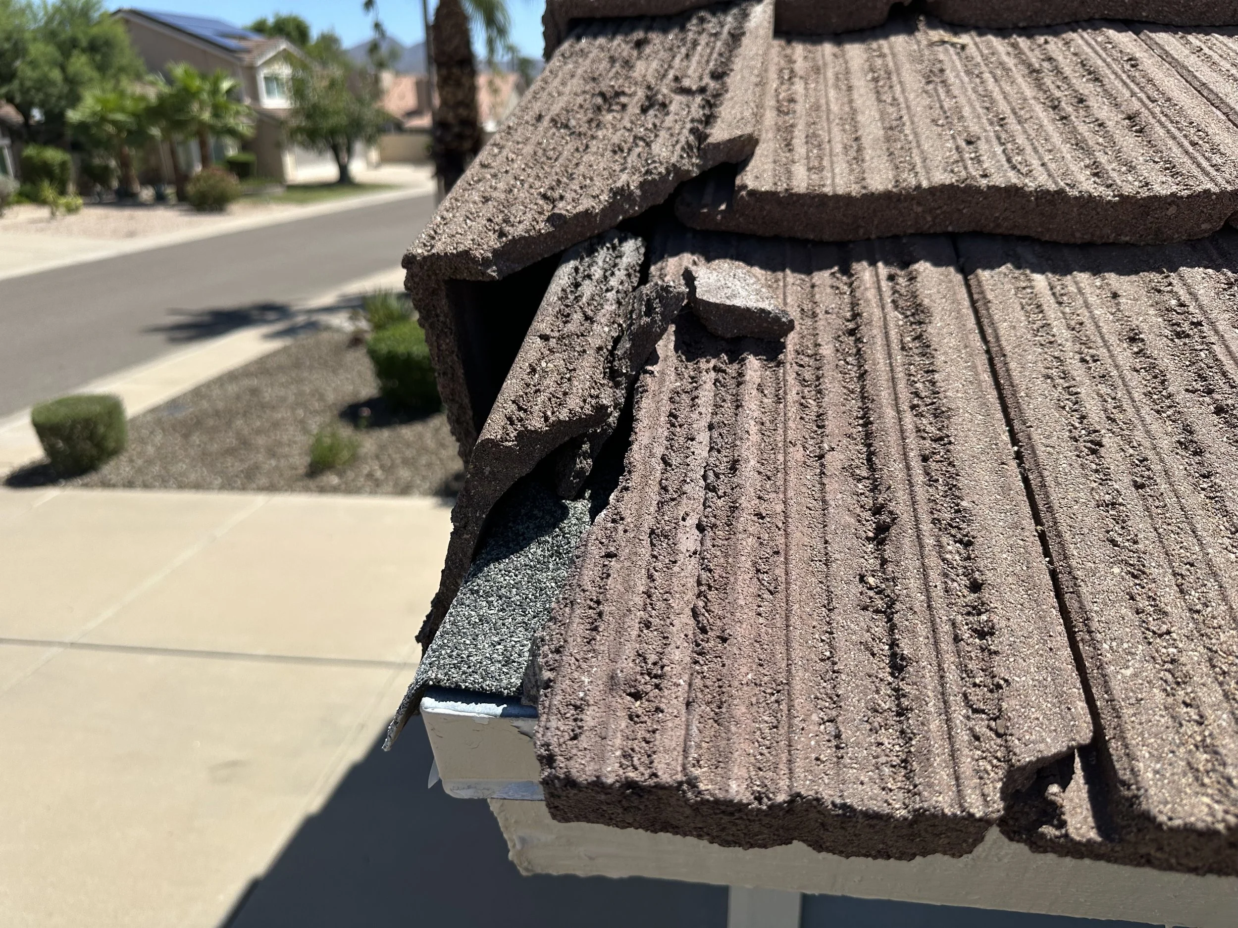 When Palm Tree Trimming Goes Wrong: A Scottsdale Roofer's Warning About Roof Damage