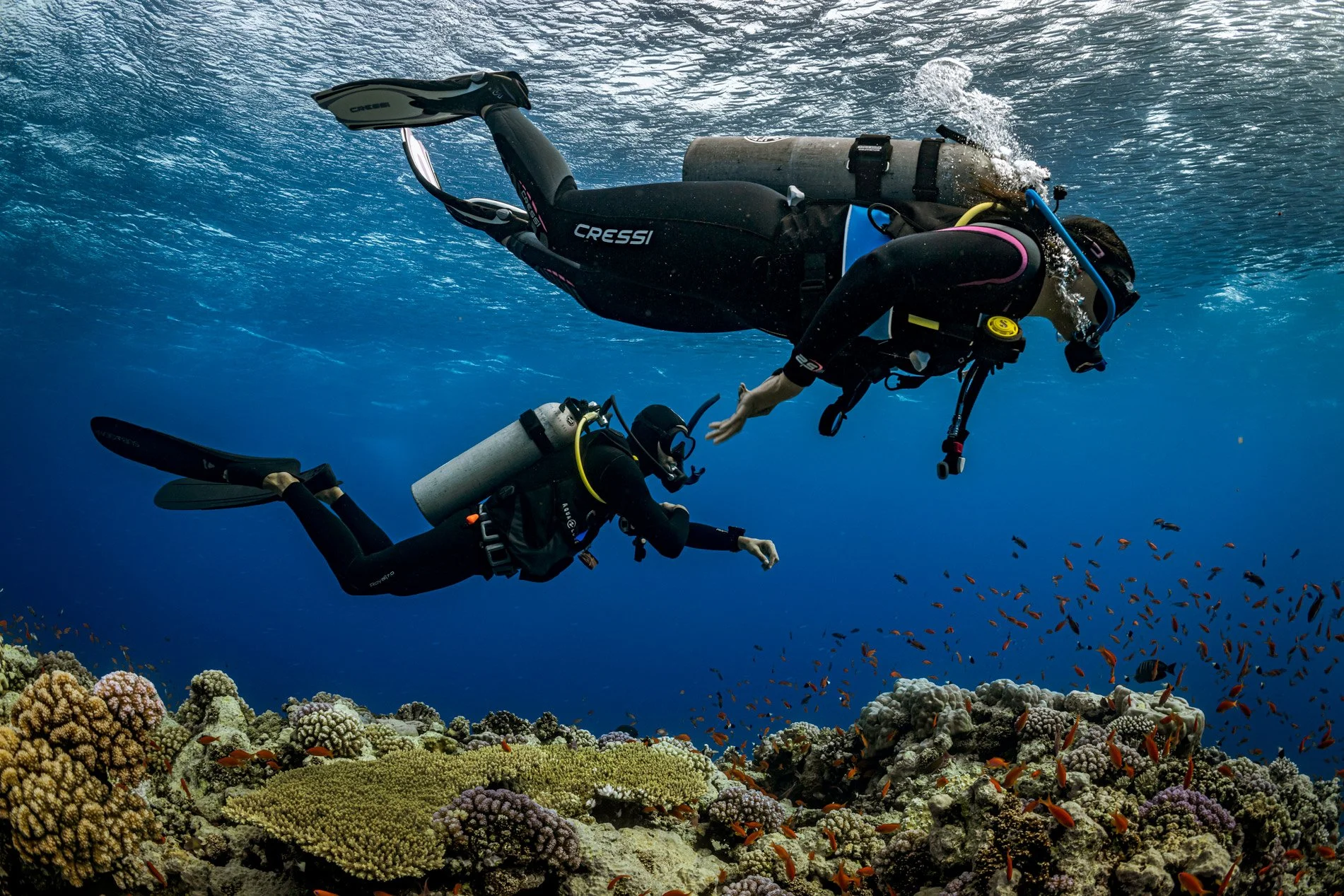 Two scuba divers swimming above a colorful coral reef with small orange fish swimming around in open water.