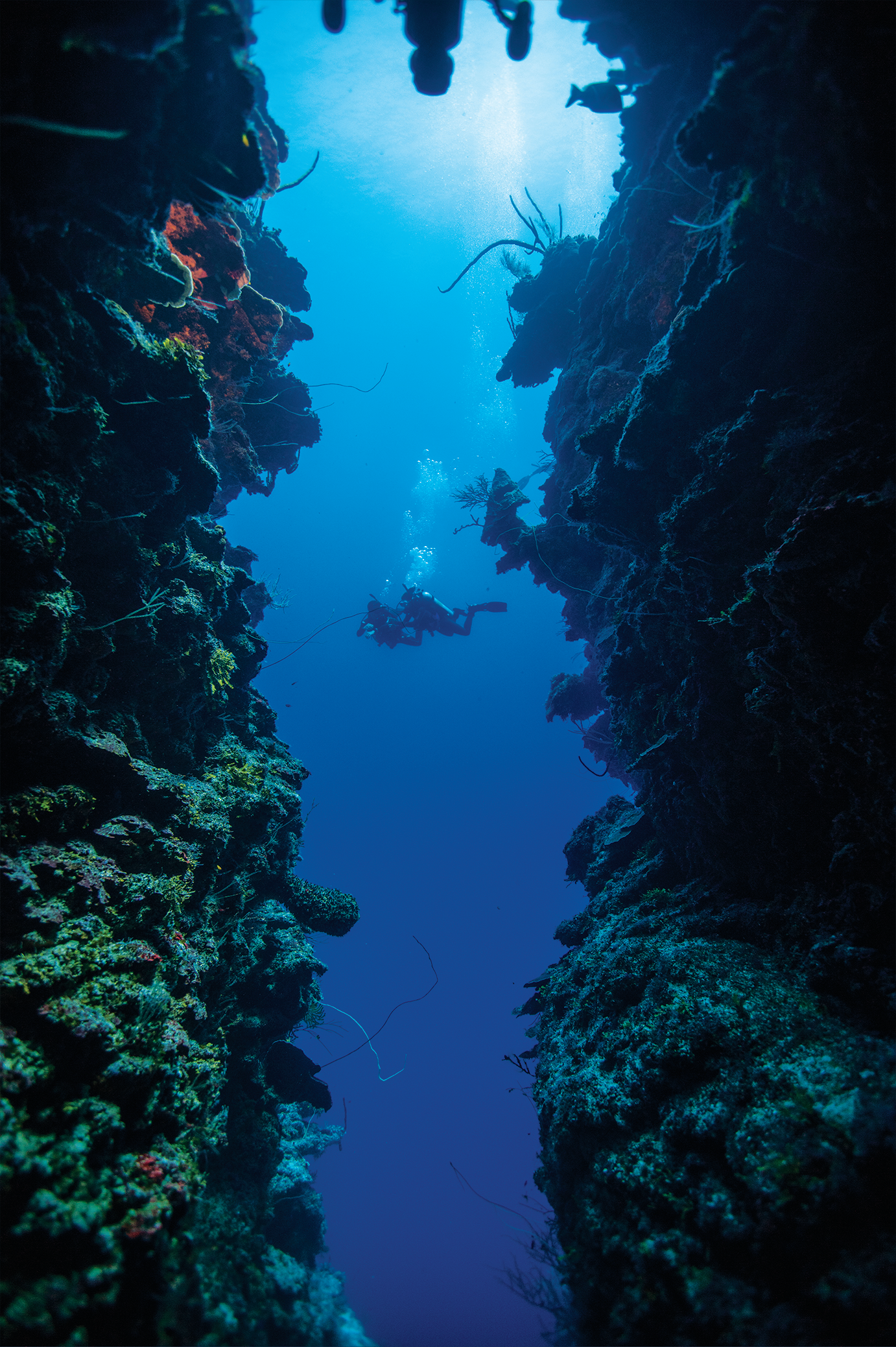 Deep3.webp