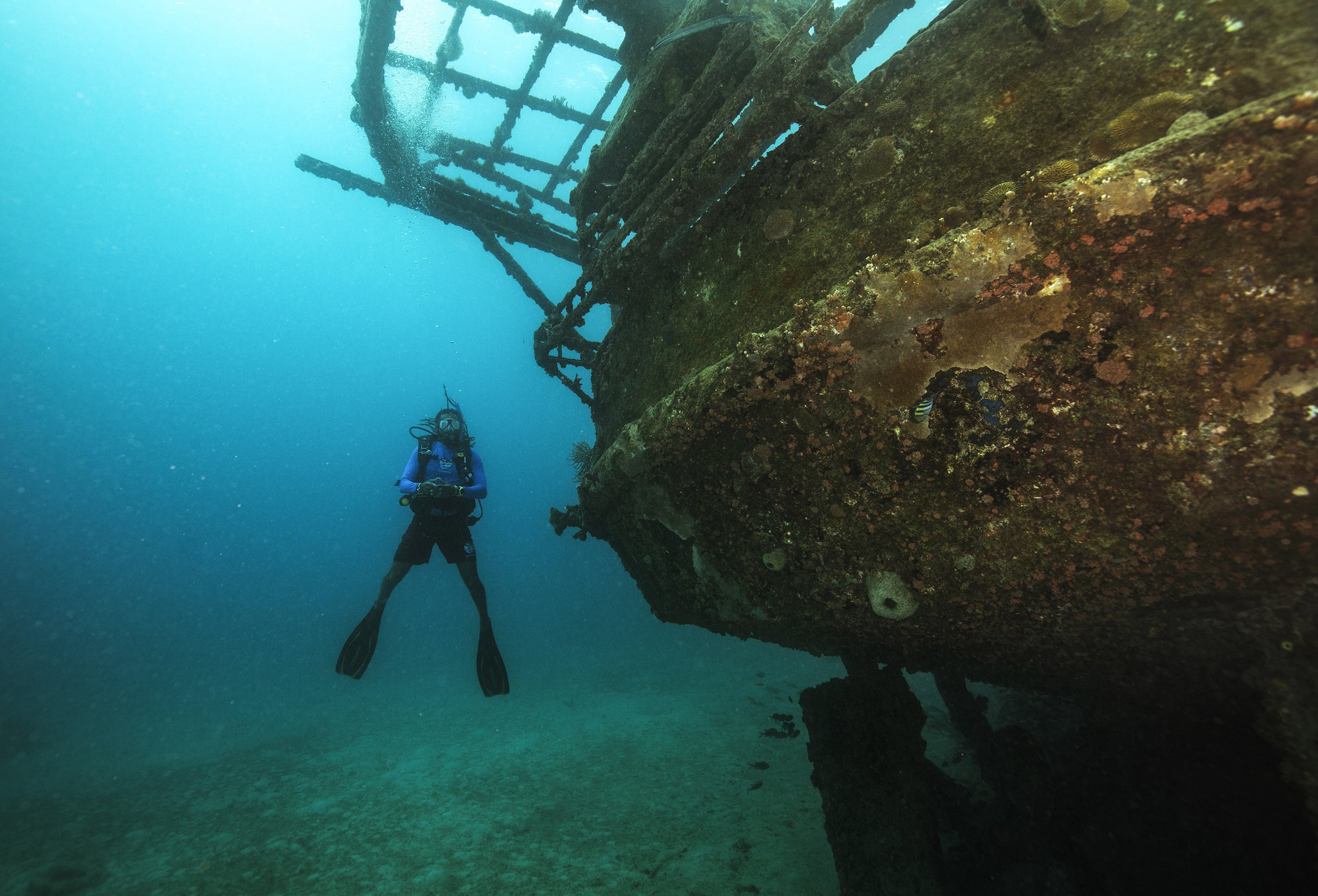 A scuba diver underwater near a large, coral-covered shipwreck, with the ship's structure visible above the sandy ocean floor.