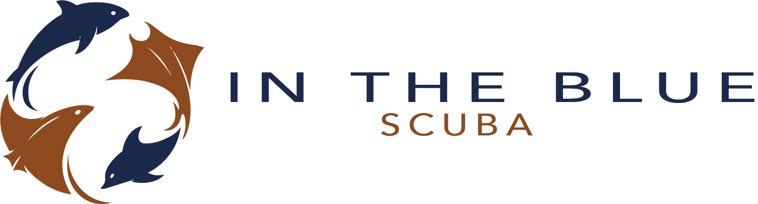 In The Blue | Scuba Diving, Training &amp; Travel