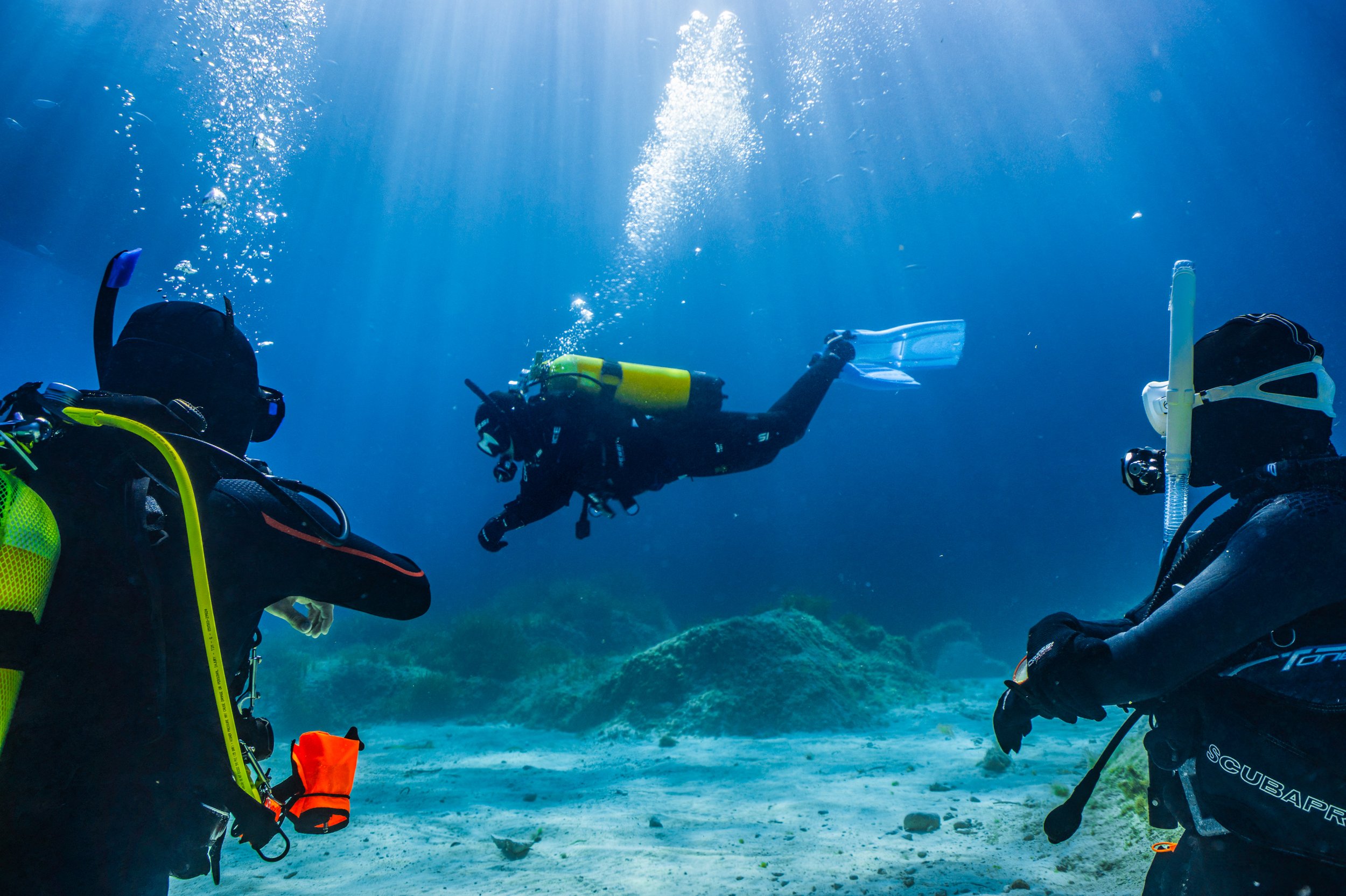 Underwater scene with scuba divers in black wetsuits, masks, and fins, near the ocean floor with rocks and algae, sunlight filtering through the water, and bubbles rising to the surface.