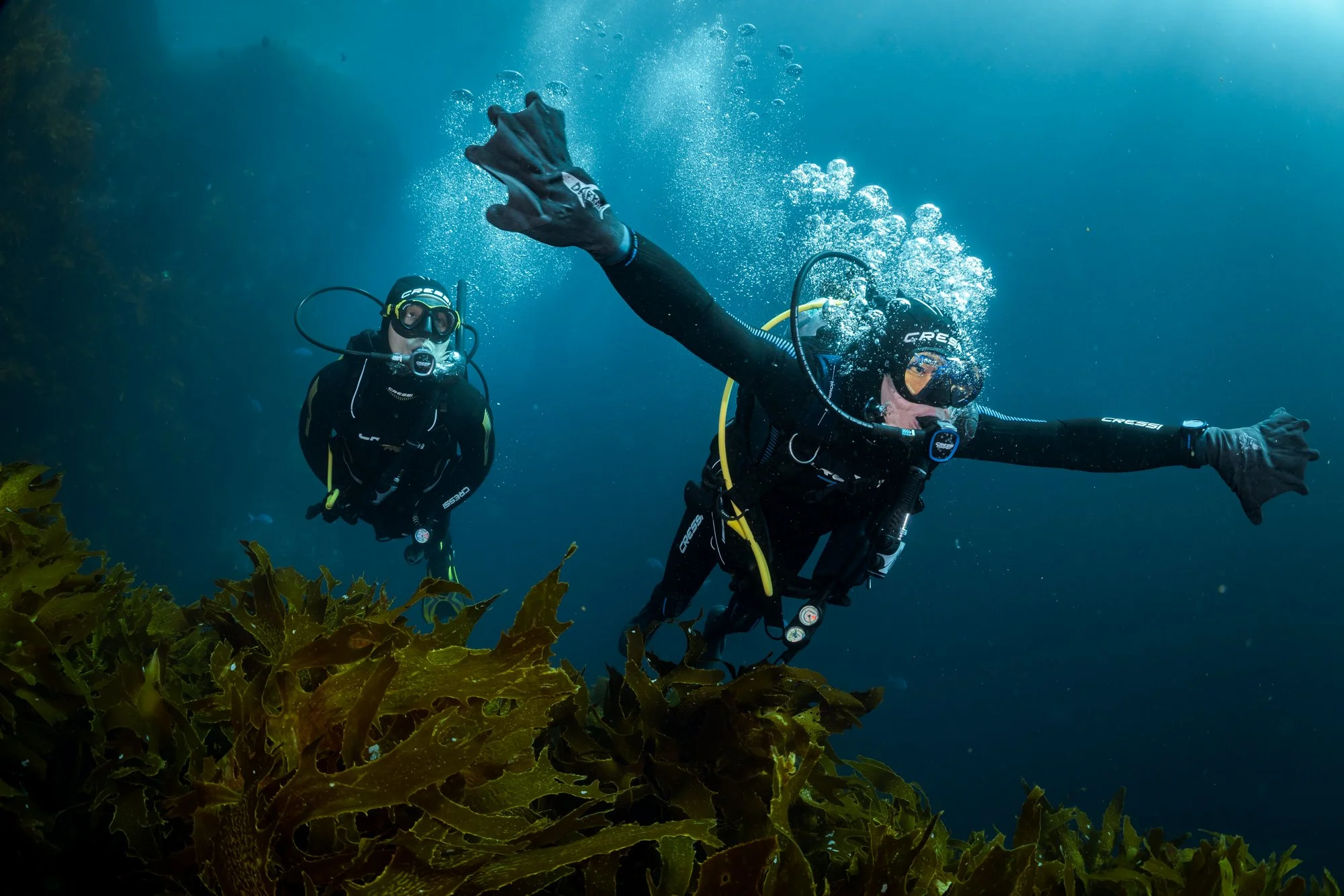 PADI Open Water Diver