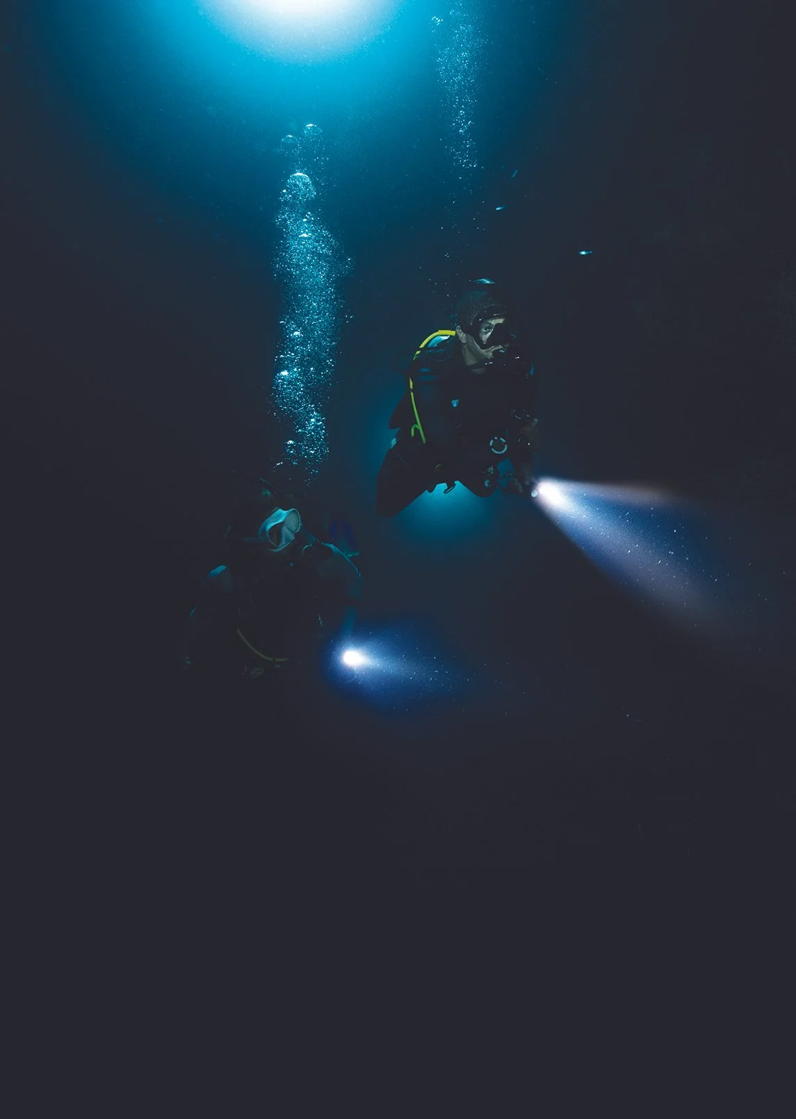 PADI Night Diver Speciality