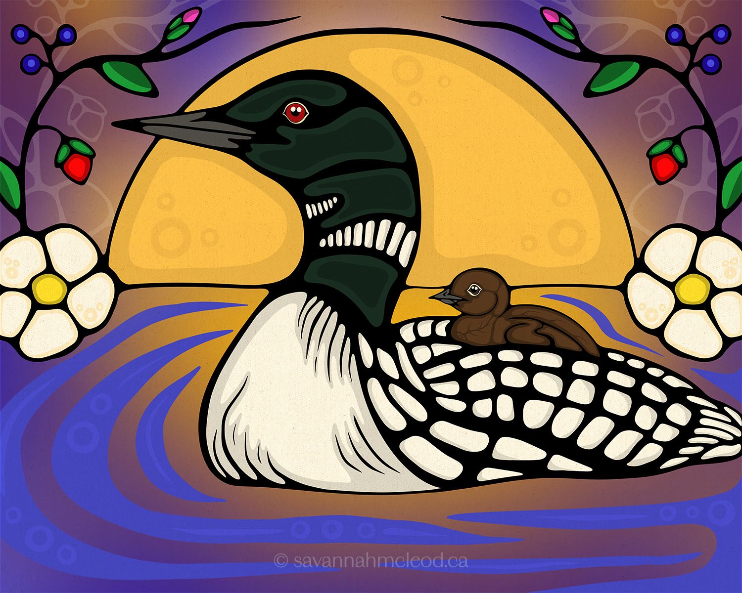 Mama Loon and Baby - Art Print
