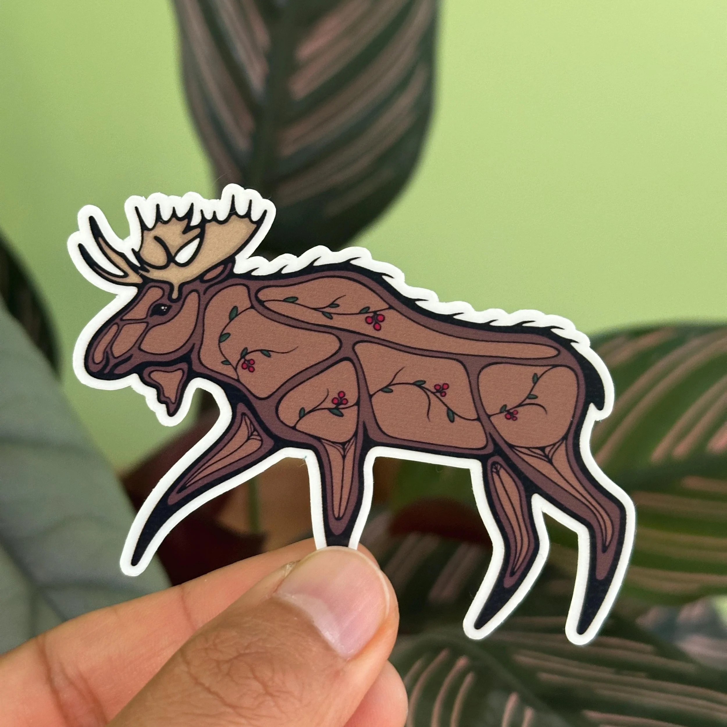 Moose.jpg