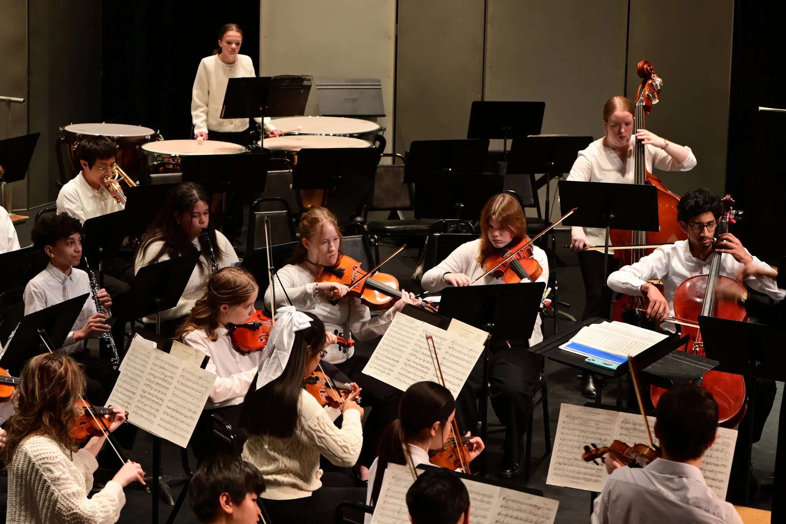 Youth Audition Application Fee