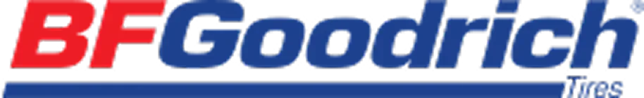 Close-up of a logo reading 'BF Goodrich' in red and blue text.