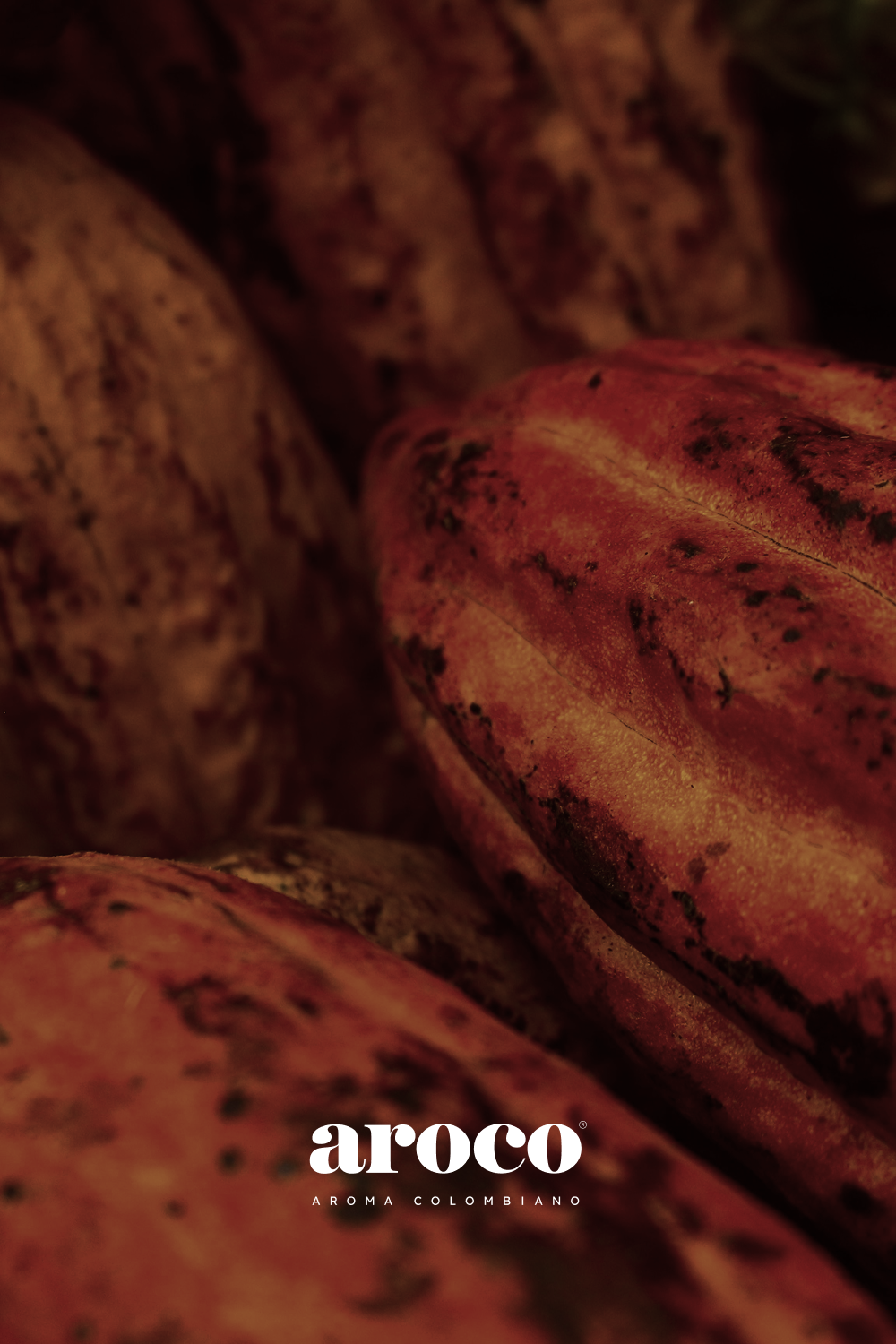 Aroco Brand Development