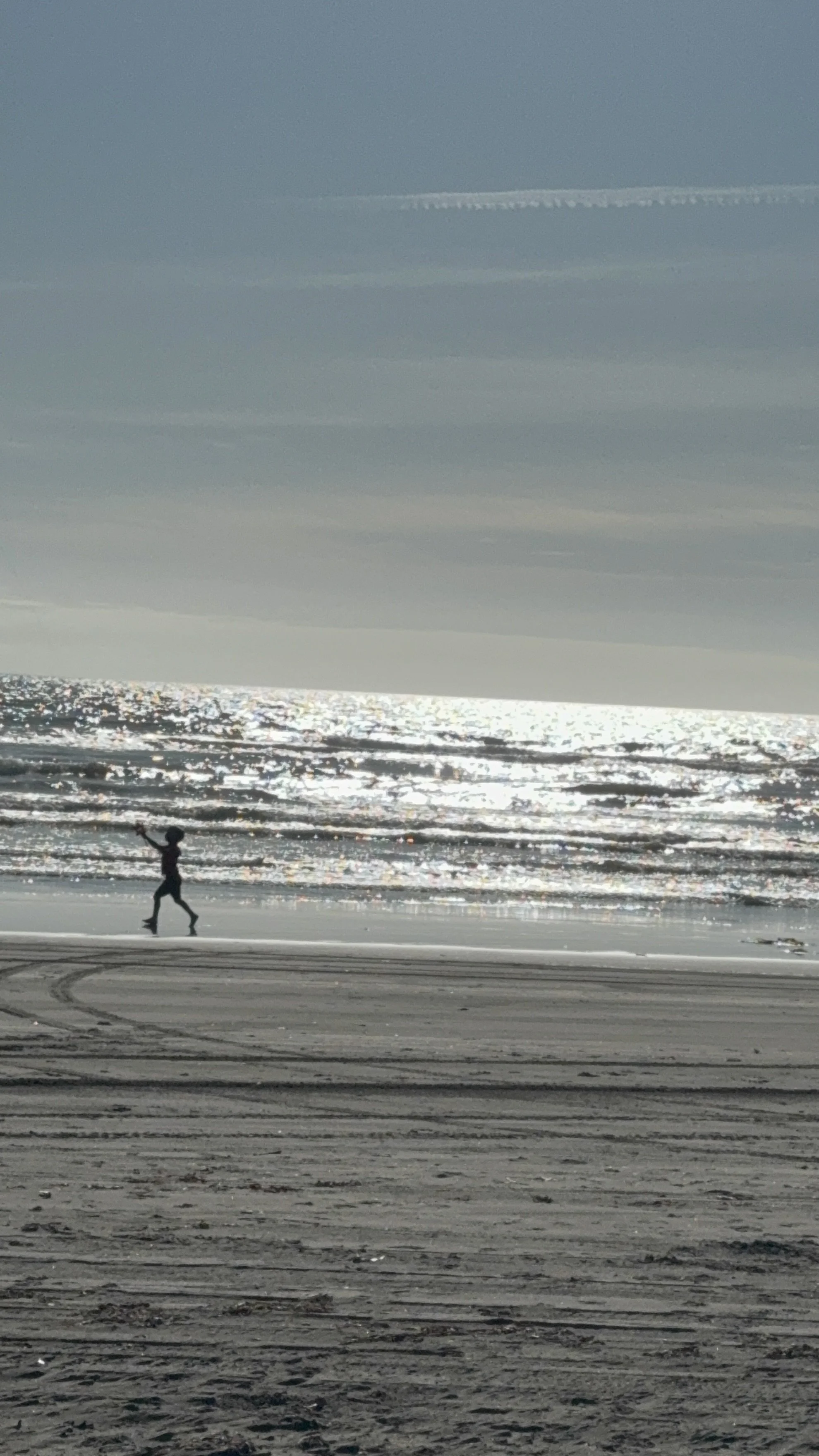 A person flying a kite on a beach with the ocean and sky in the background, and the sun reflecting on the water.