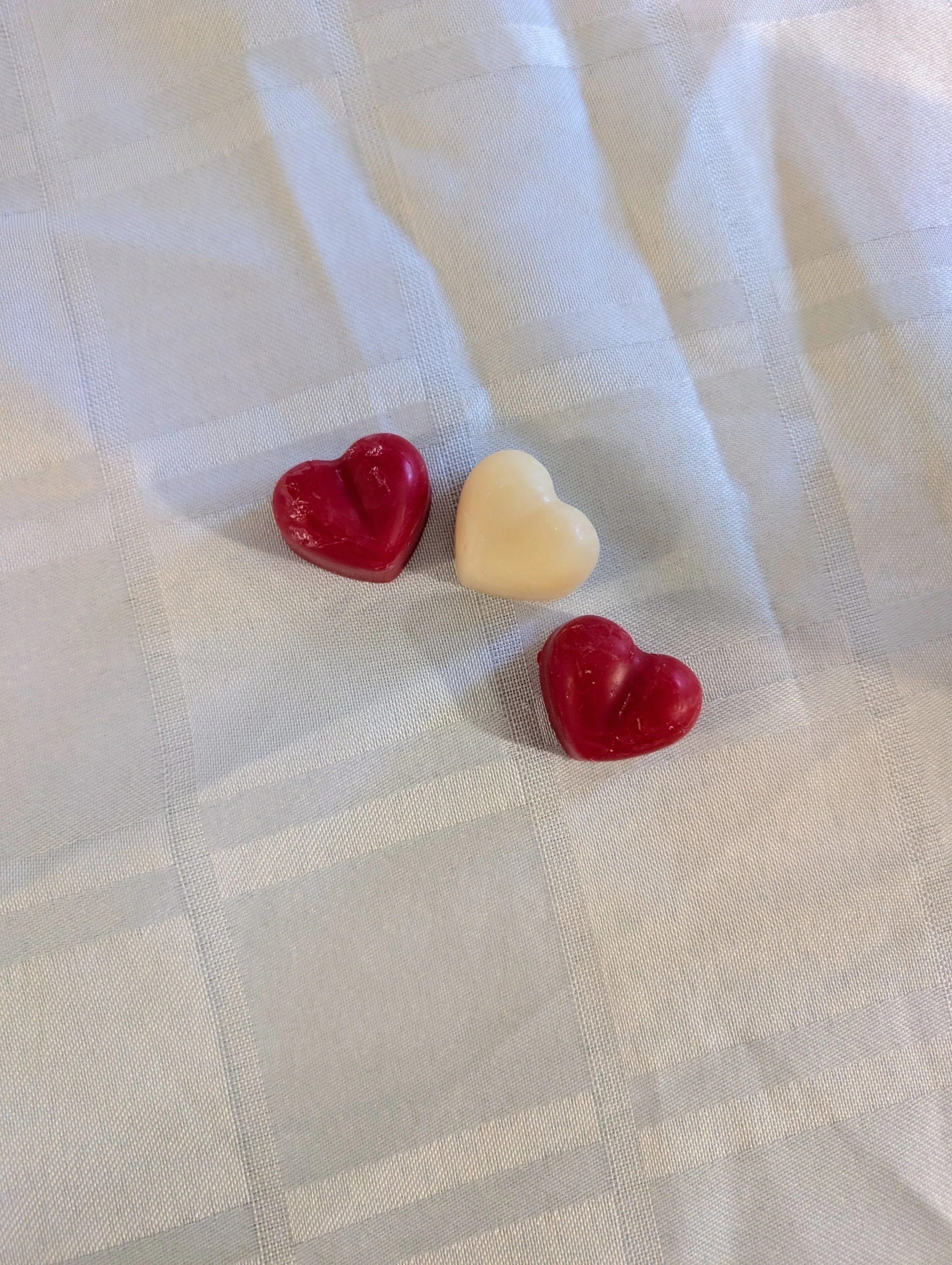 PXL_20260113_180846988~2 (1).jpg