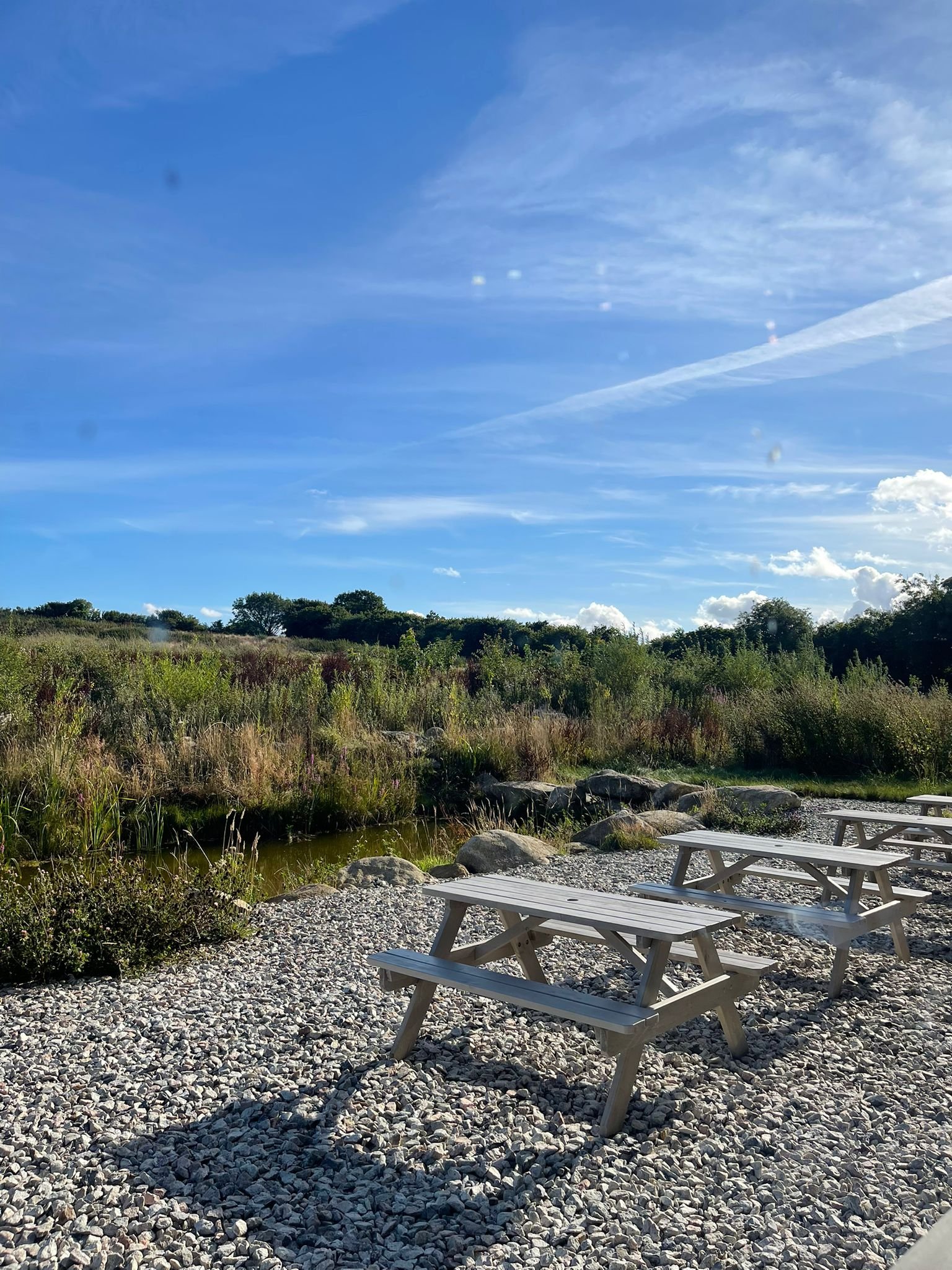 Several white picnic tables on a gravel area near a small pond, with tall grass, bushes, and trees in the background under a bright blue sky with wispy clouds.