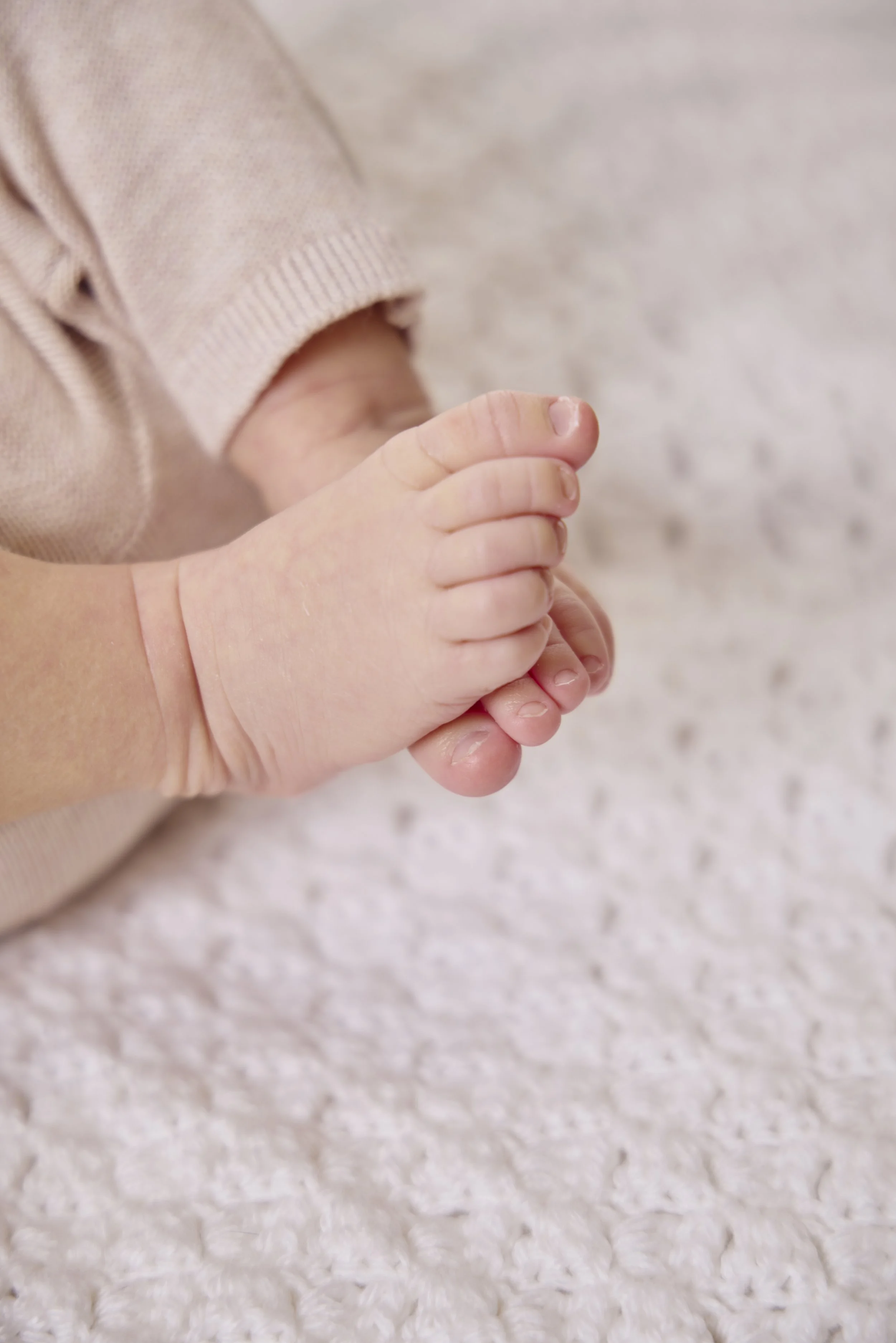 Untitled Session1651.jpg