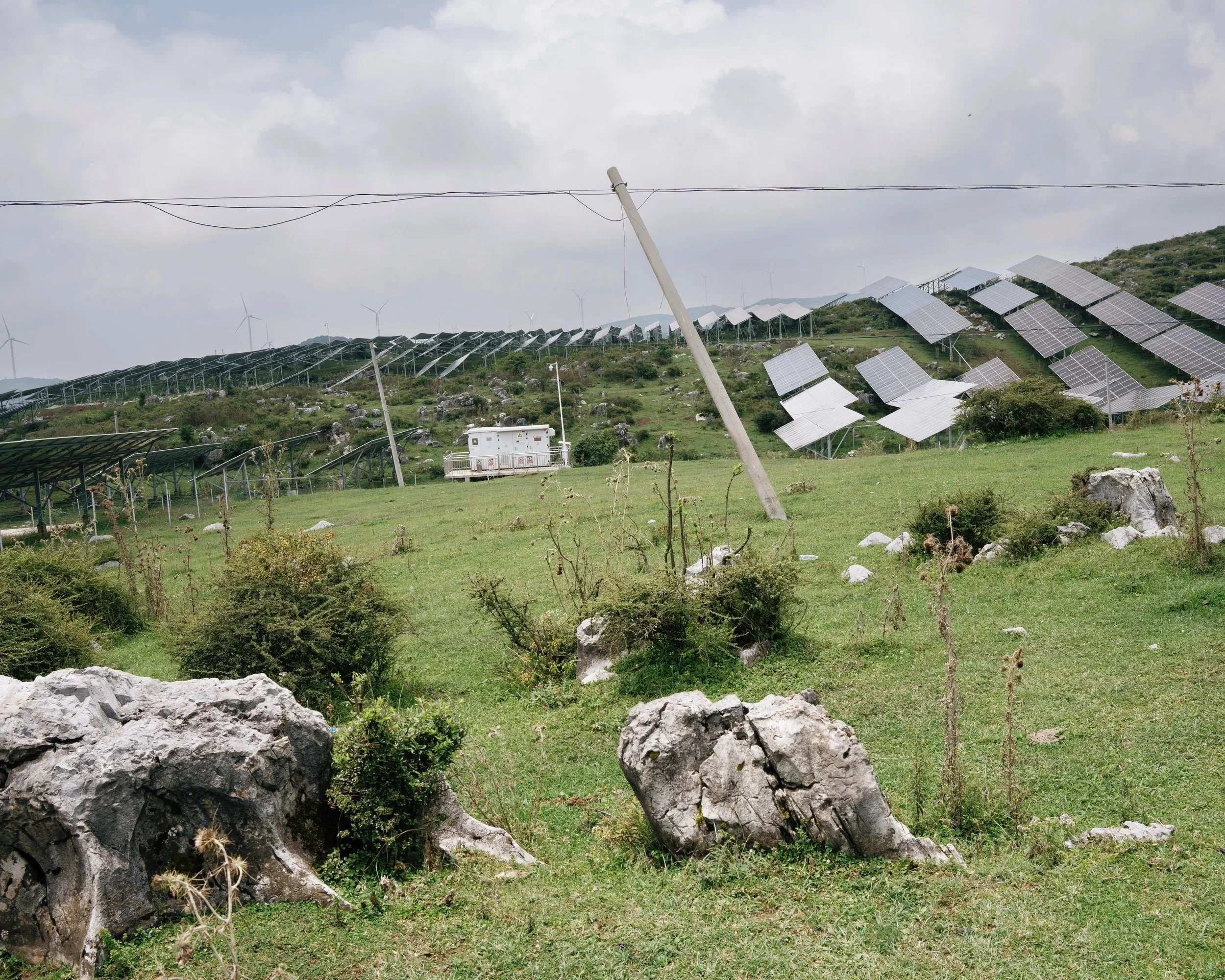 从草原来,甚至穿过了云 From The Grasslands, Even Through The Clouds(2025)