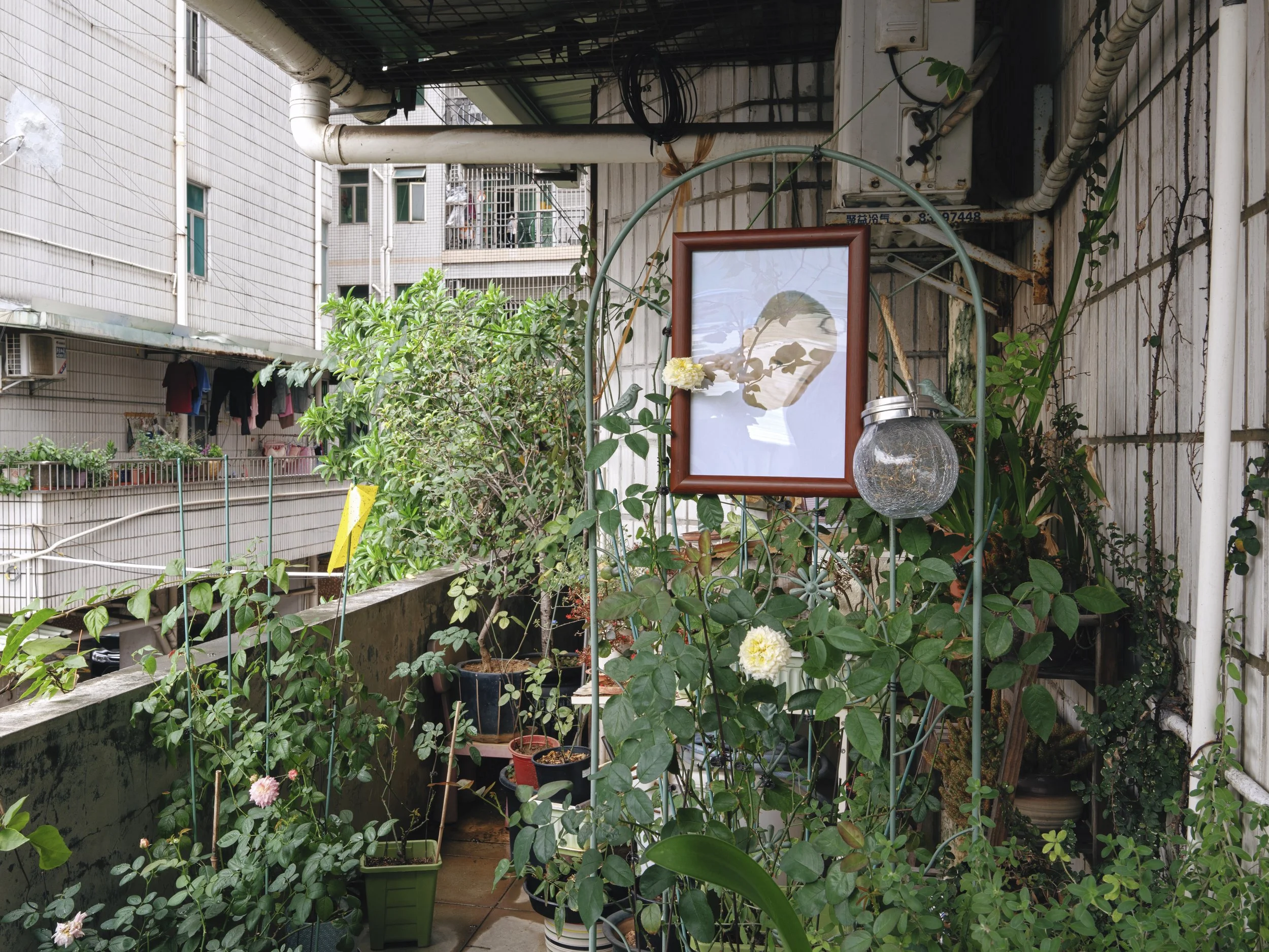 十二封信  Twelve Letters(2025)