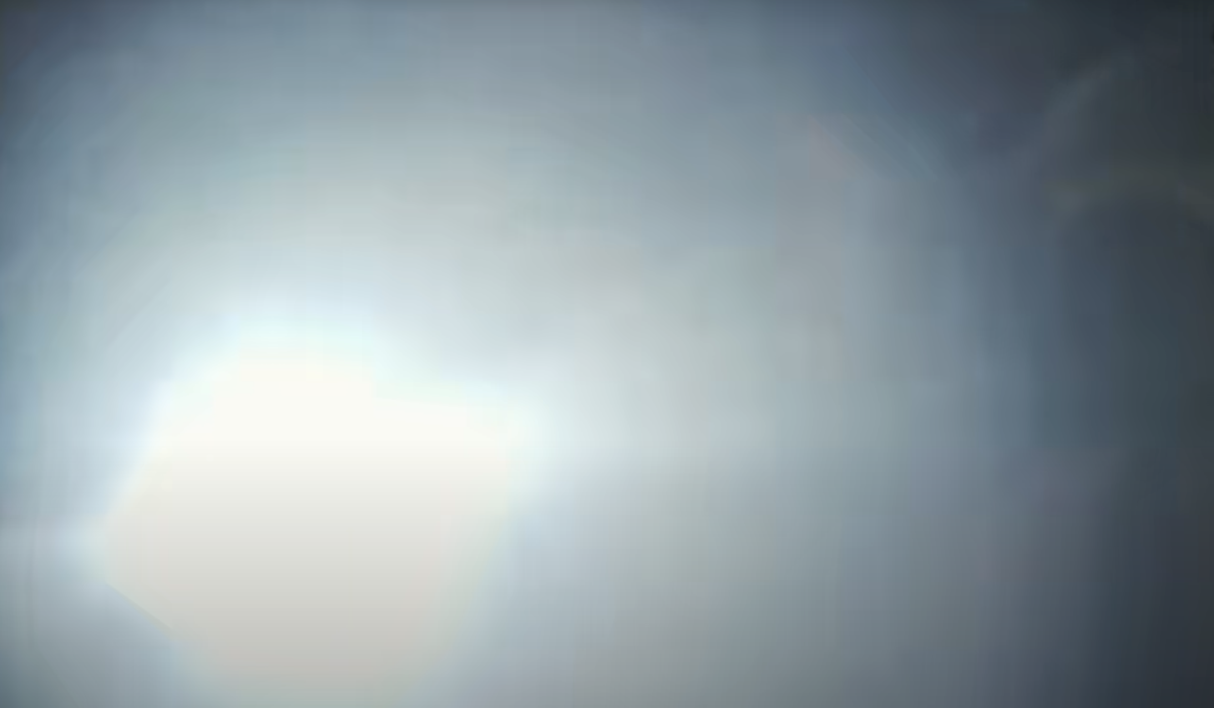 她未必能重新成长 She won’t always grow back(2025)