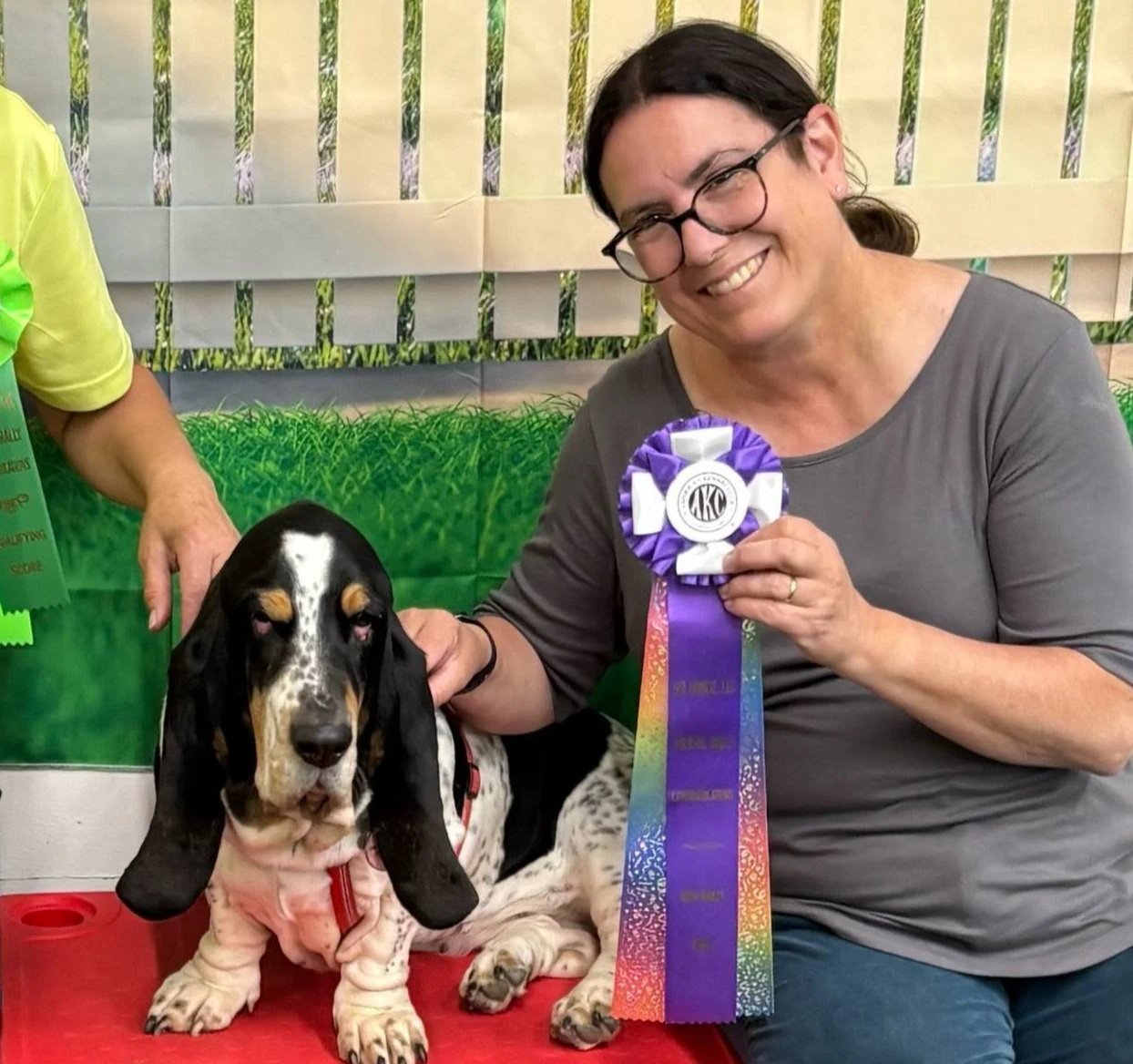 A woman with glasses sitting next to a black and white basset hound puppy, holding a purple and white ribbon, at a dog show.